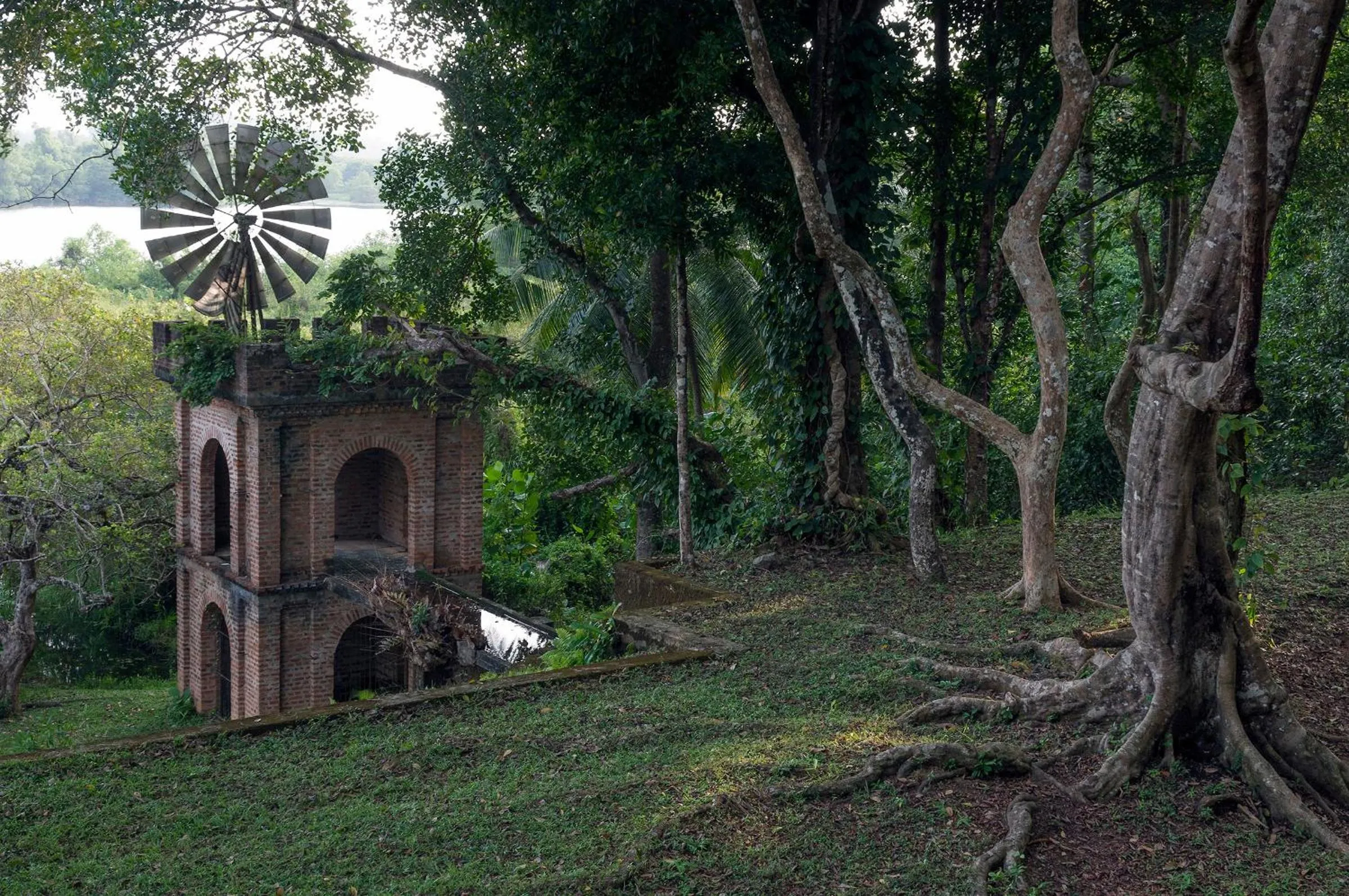 Day in Lunuganga Estate