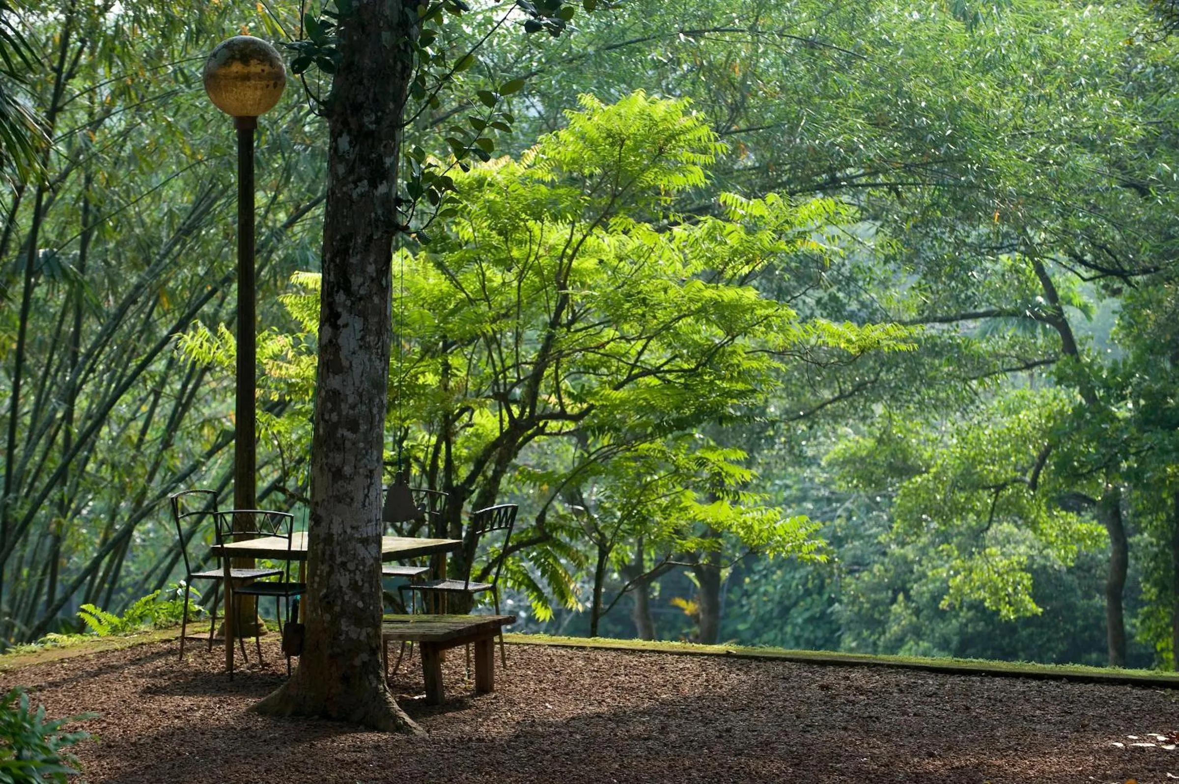 Spring in Lunuganga Estate