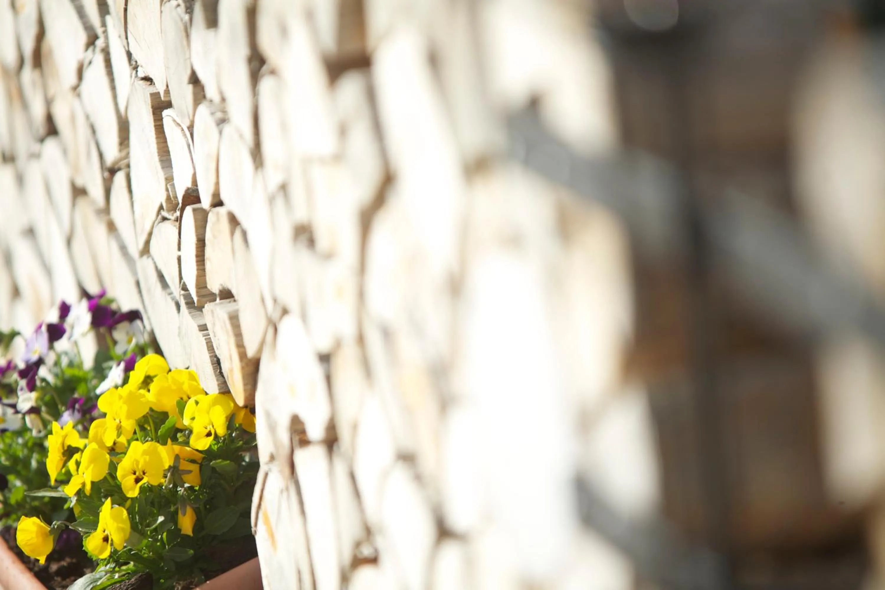 Decorative detail in Hotel Castel Pietra
