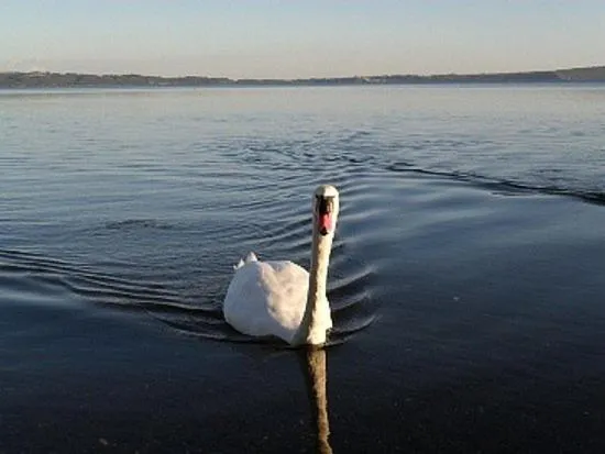 Area and facilities in B&B Raggio Di Sole