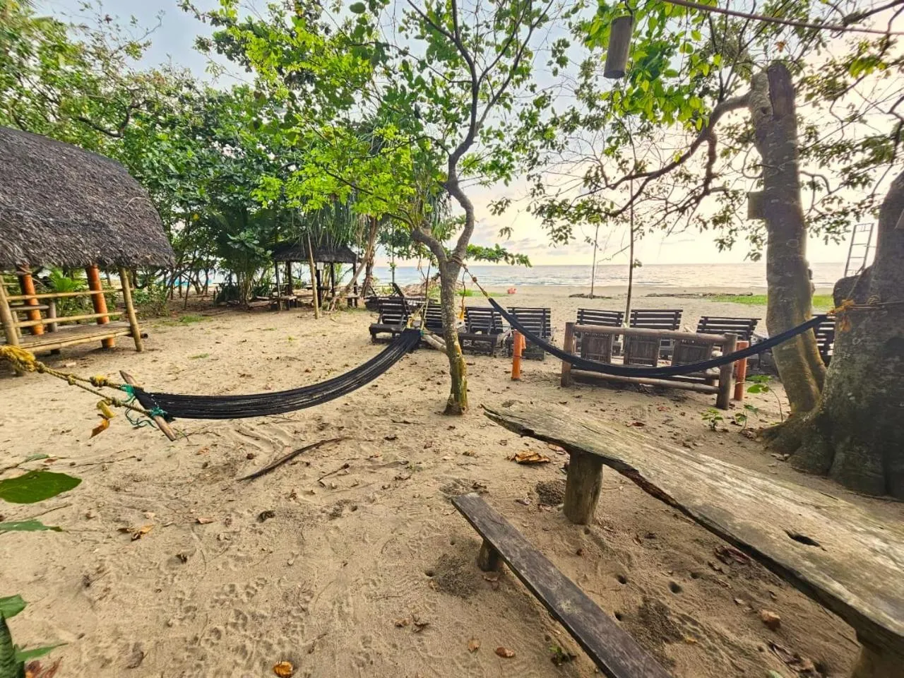 Natural landscape in Big BamBoo Beach Resort Sipalay