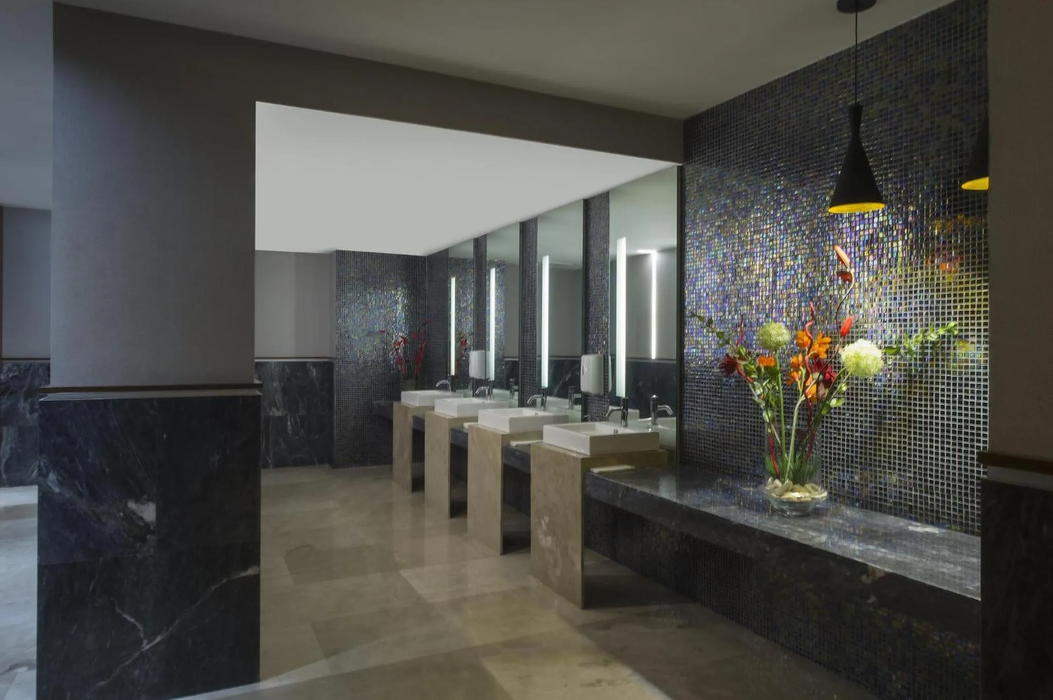 Other in Fiesta Americana Hermosillo