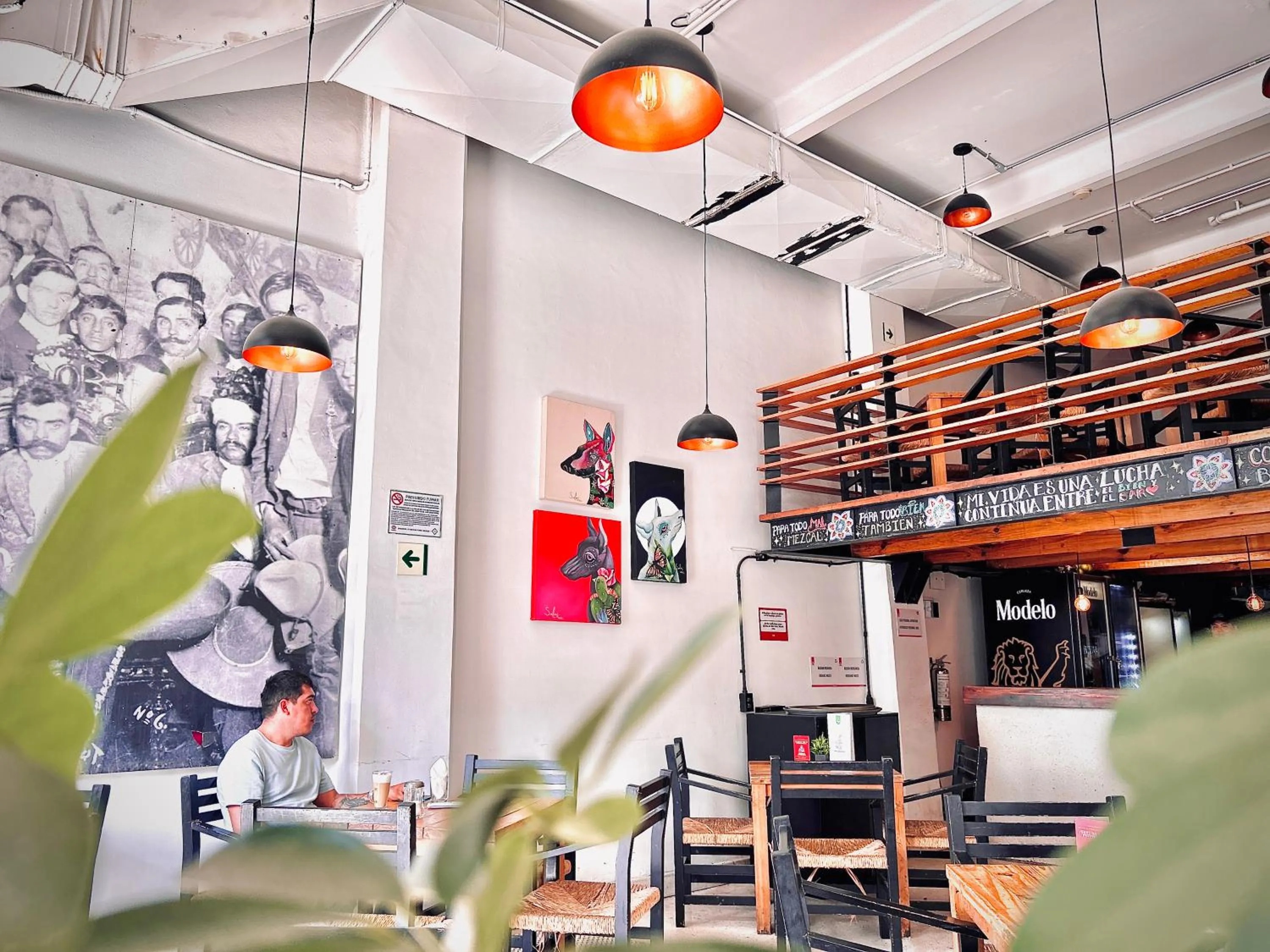 Restaurant/places to eat in Hostel Mundo Joven Catedral