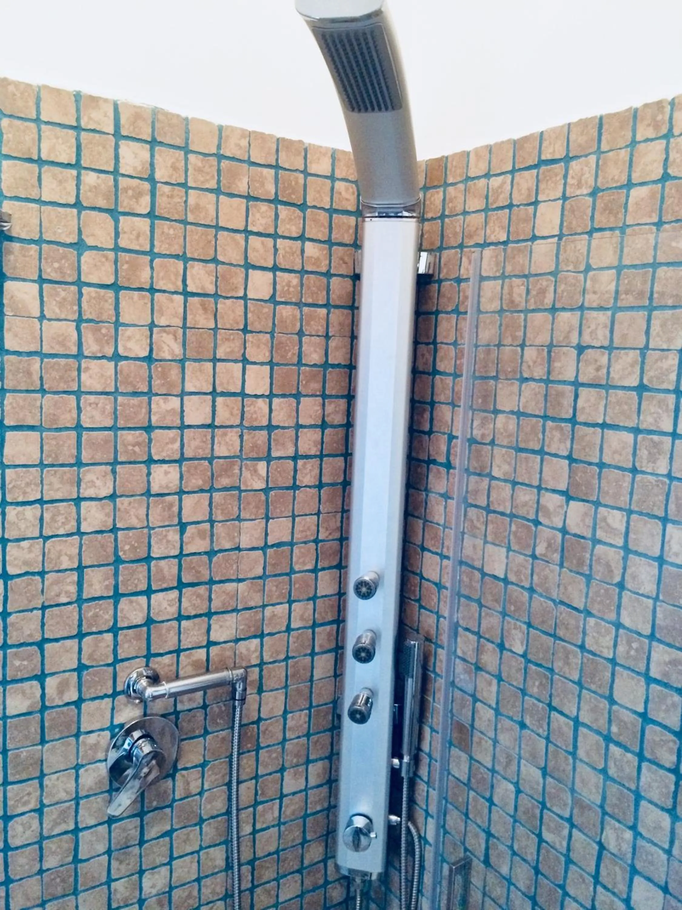 Shower in B&B San Paolo