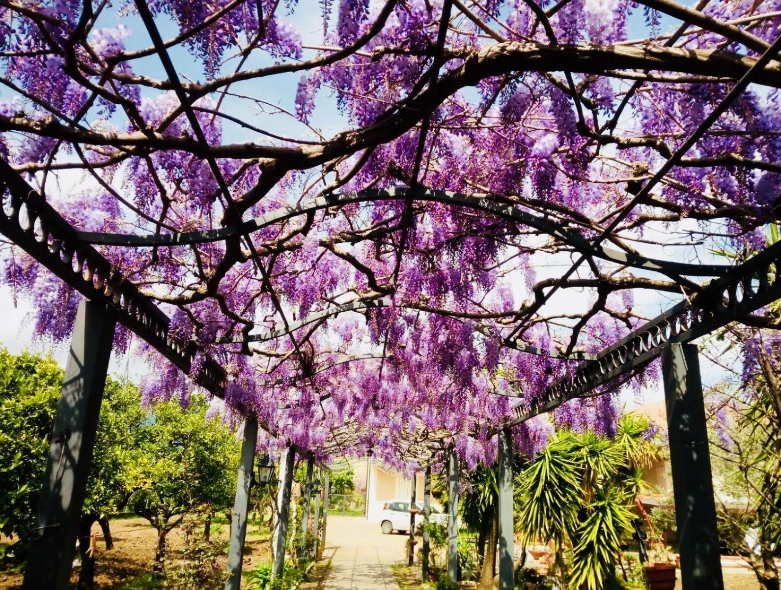 Garden in B&B San Paolo