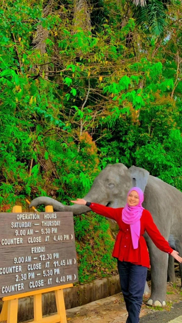 ANGGERIK IMPIAN HOTEL -Best for Travellers at Kuala Berang