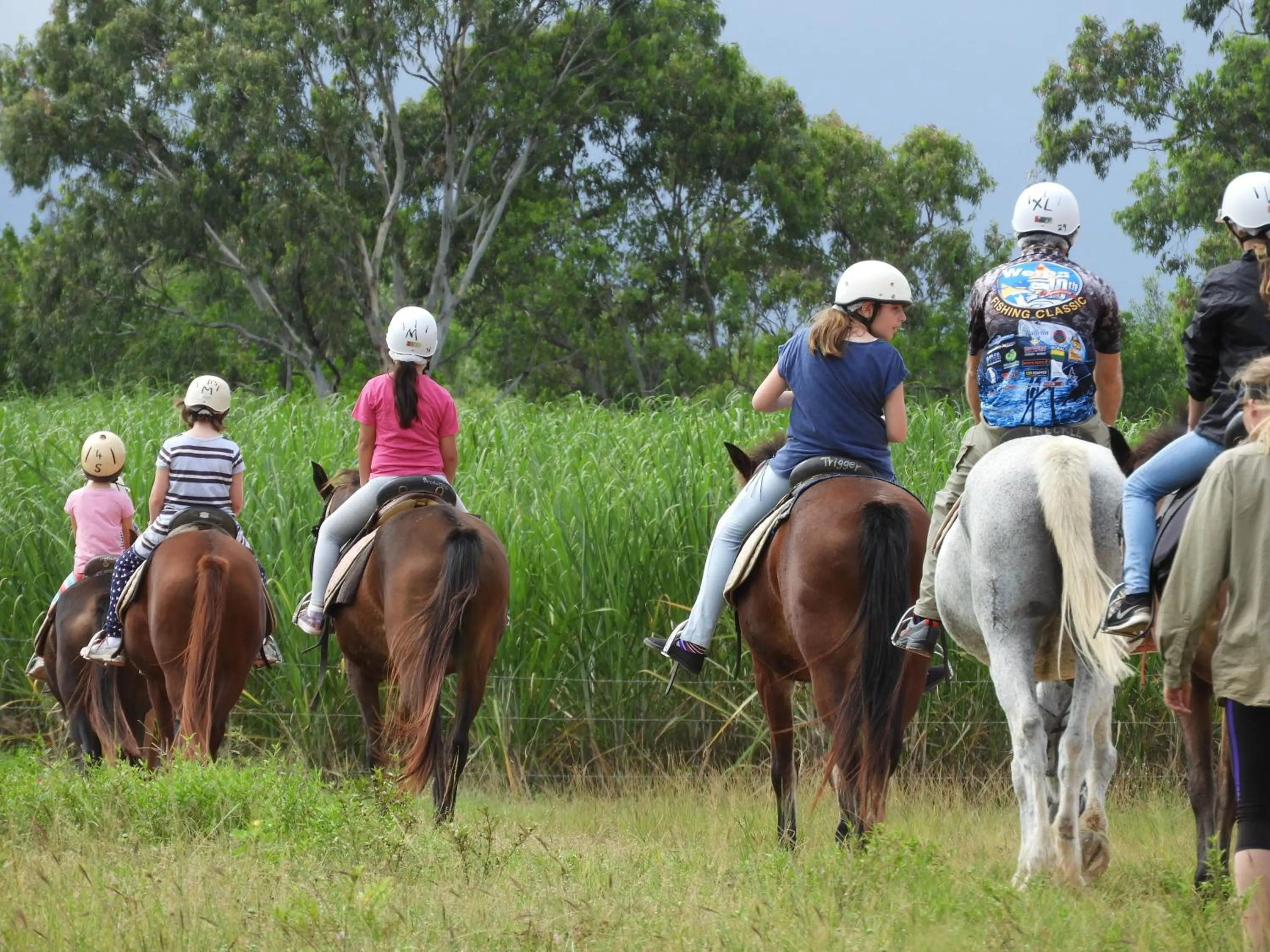 Animals in The Beach Place