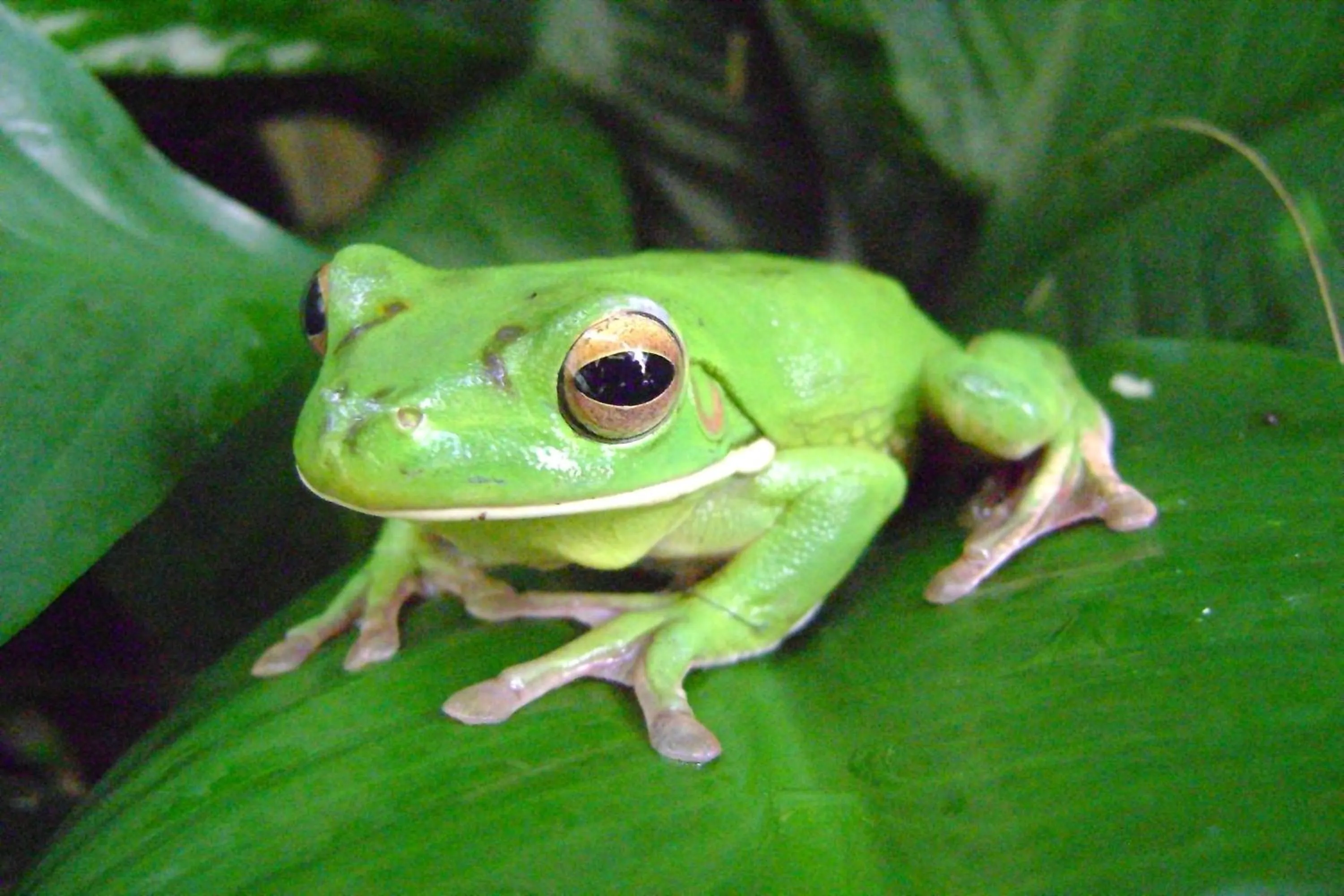 Other in The Beach Place