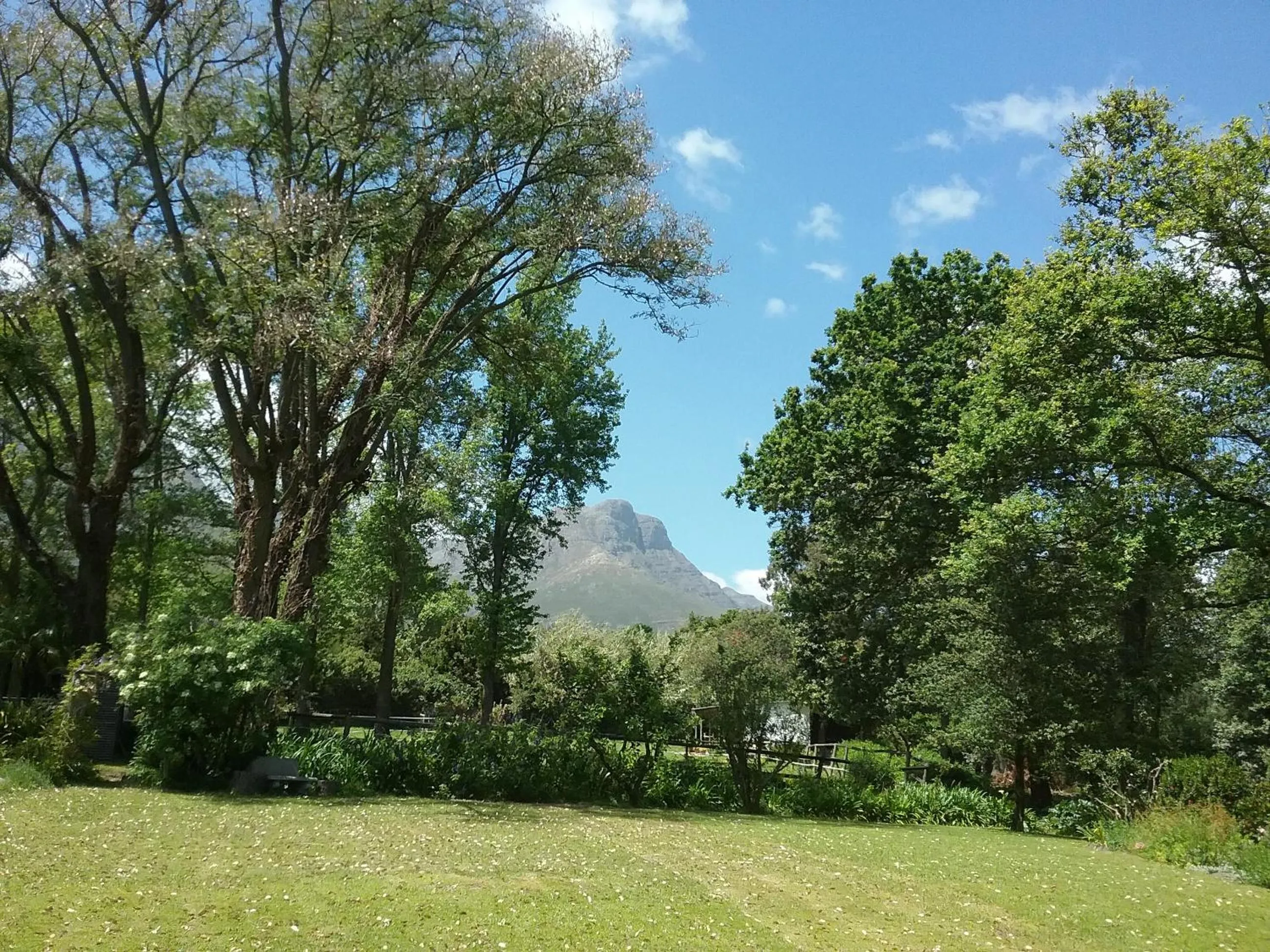 Natural landscape in Languedoc
