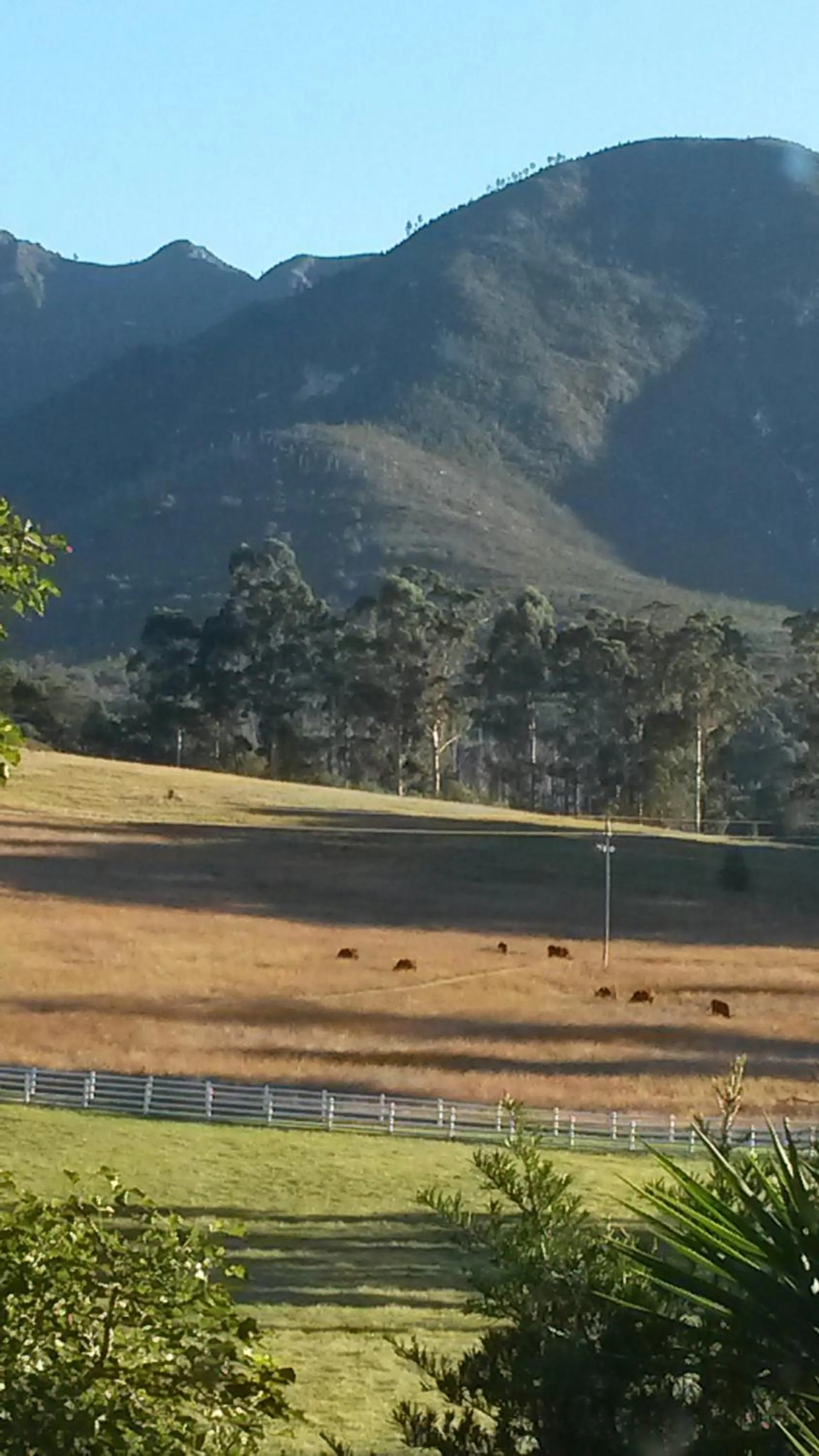 Natural landscape in Languedoc