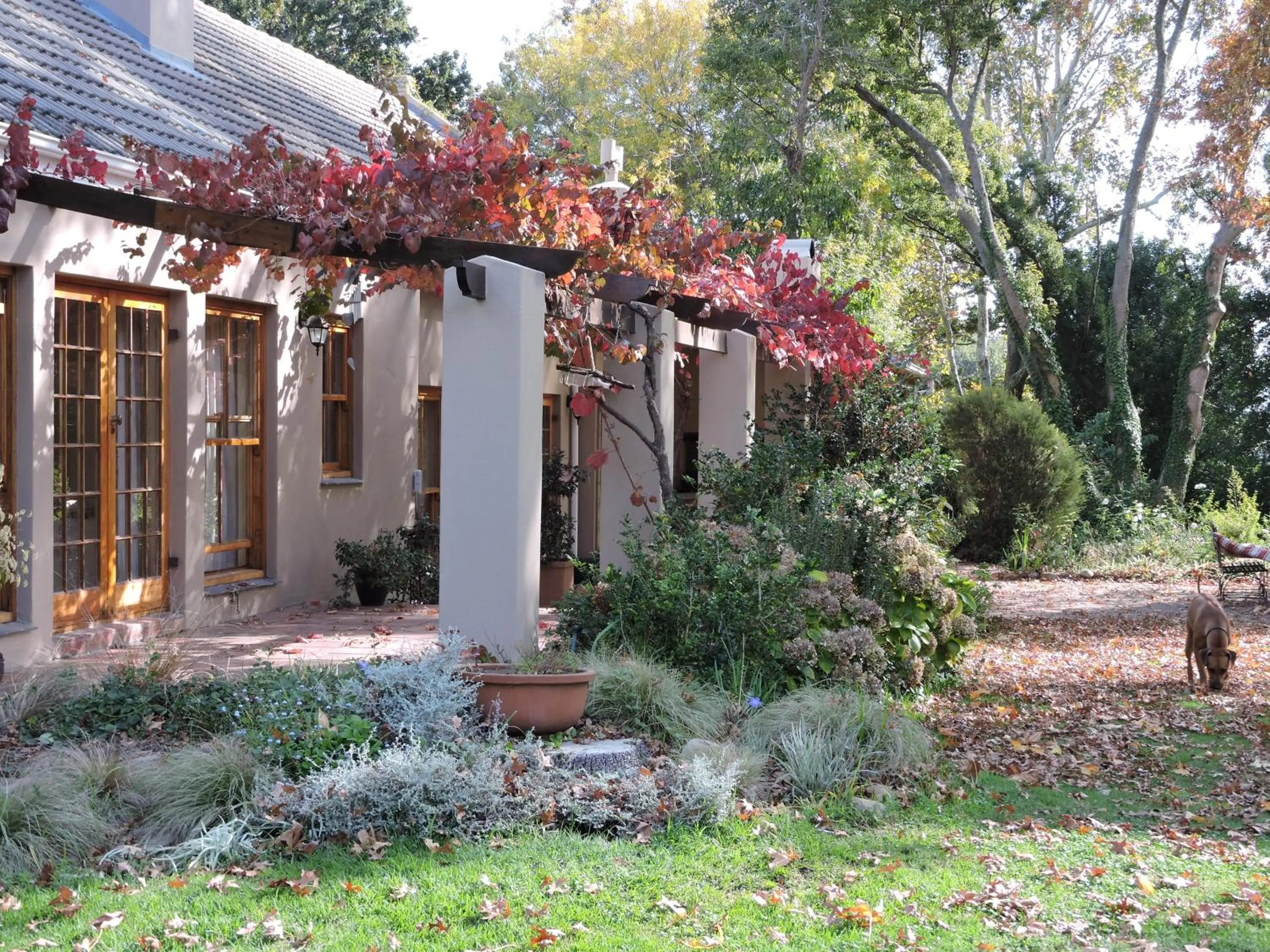 Facade/entrance in Languedoc
