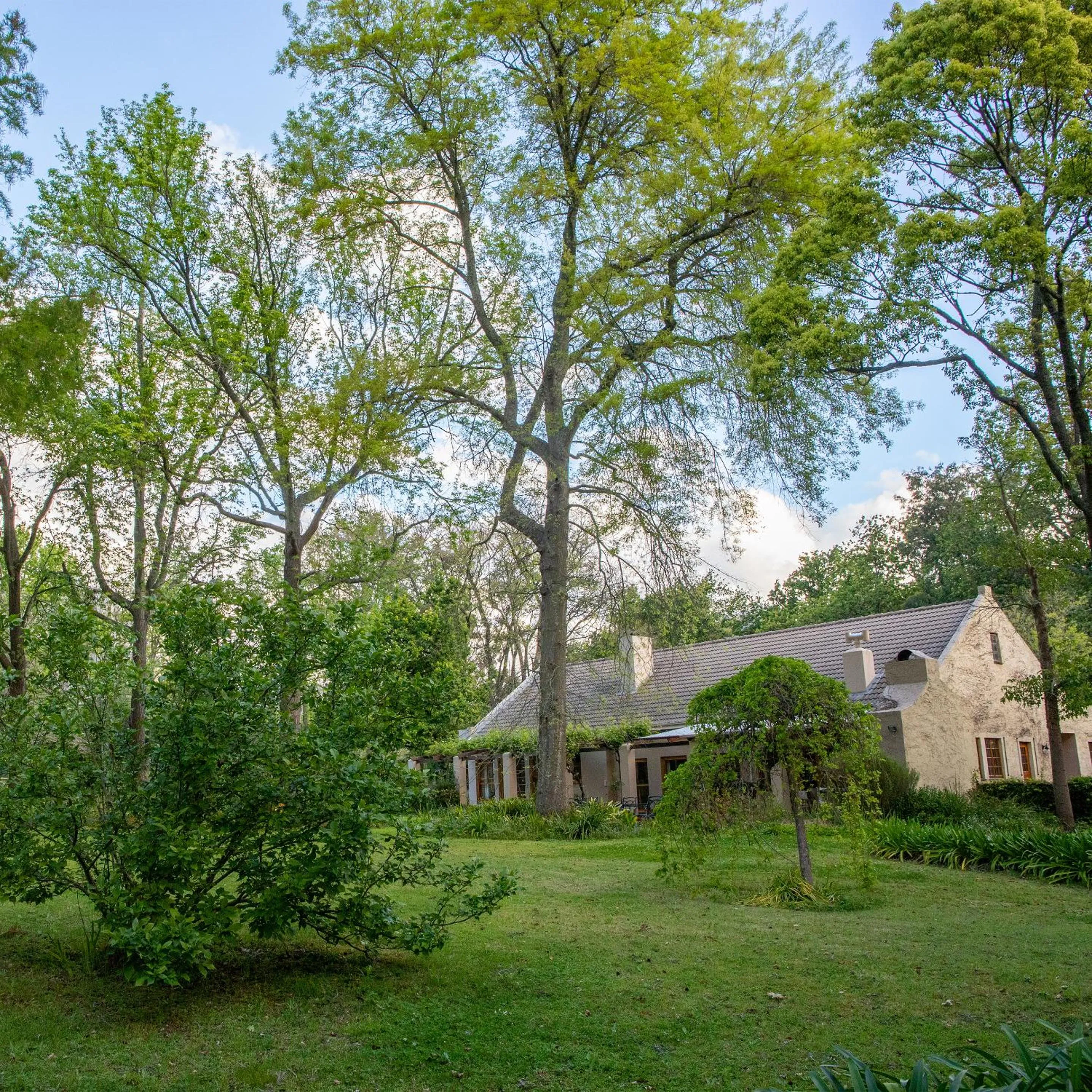 Property building in Languedoc