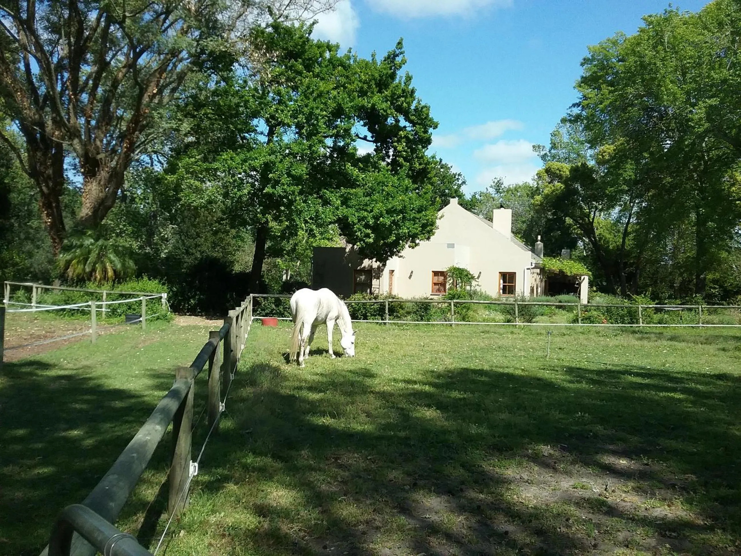 Animals in Languedoc