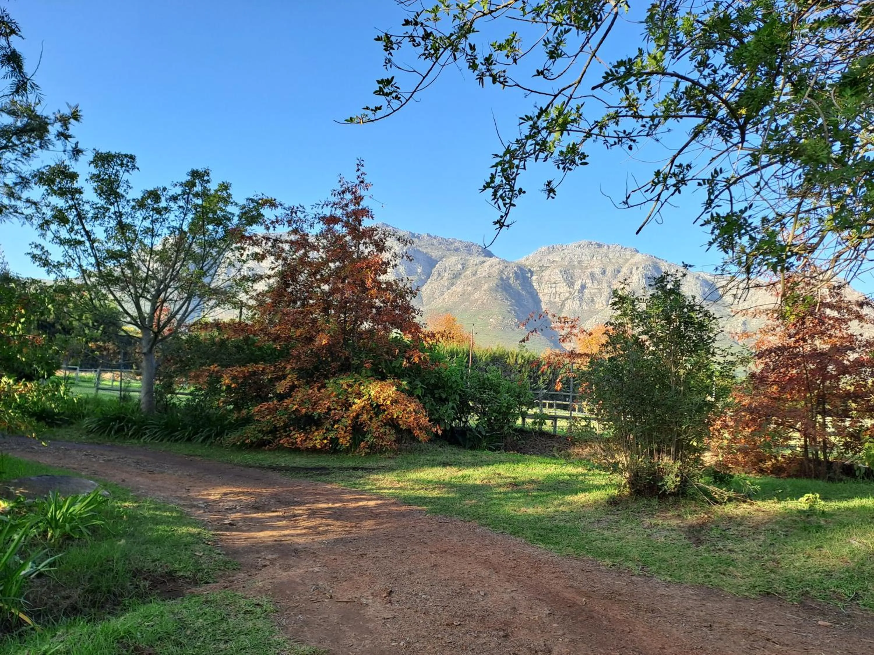 Mountain view in Languedoc