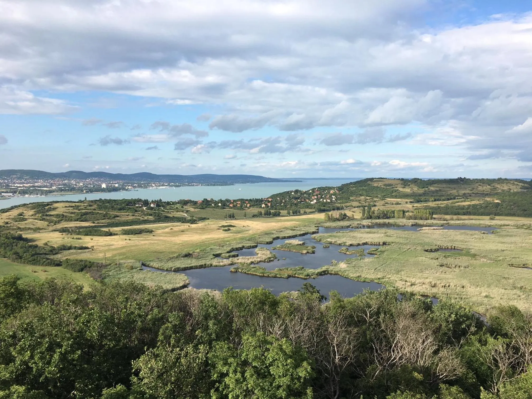 Nearby landmark in The Houses of History - anno 1830