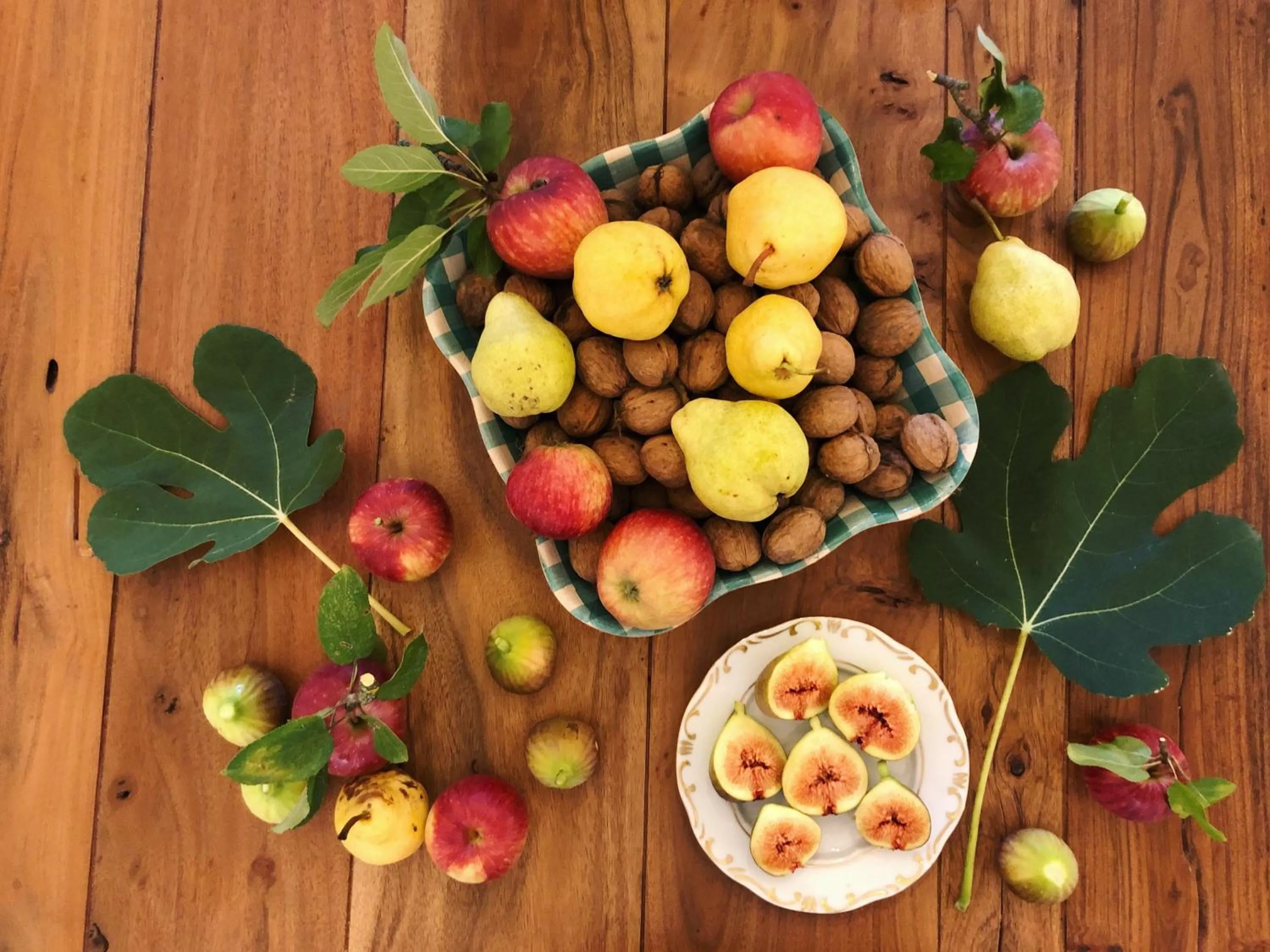 The Houses of History - anno 1830