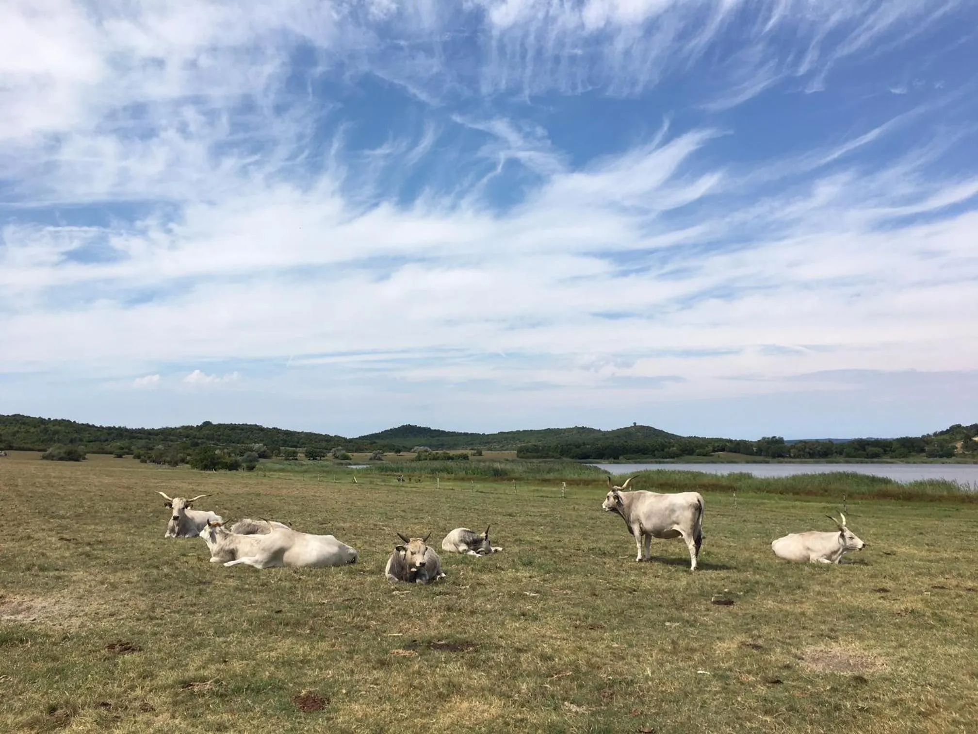 Off site in The Houses of History - anno 1830