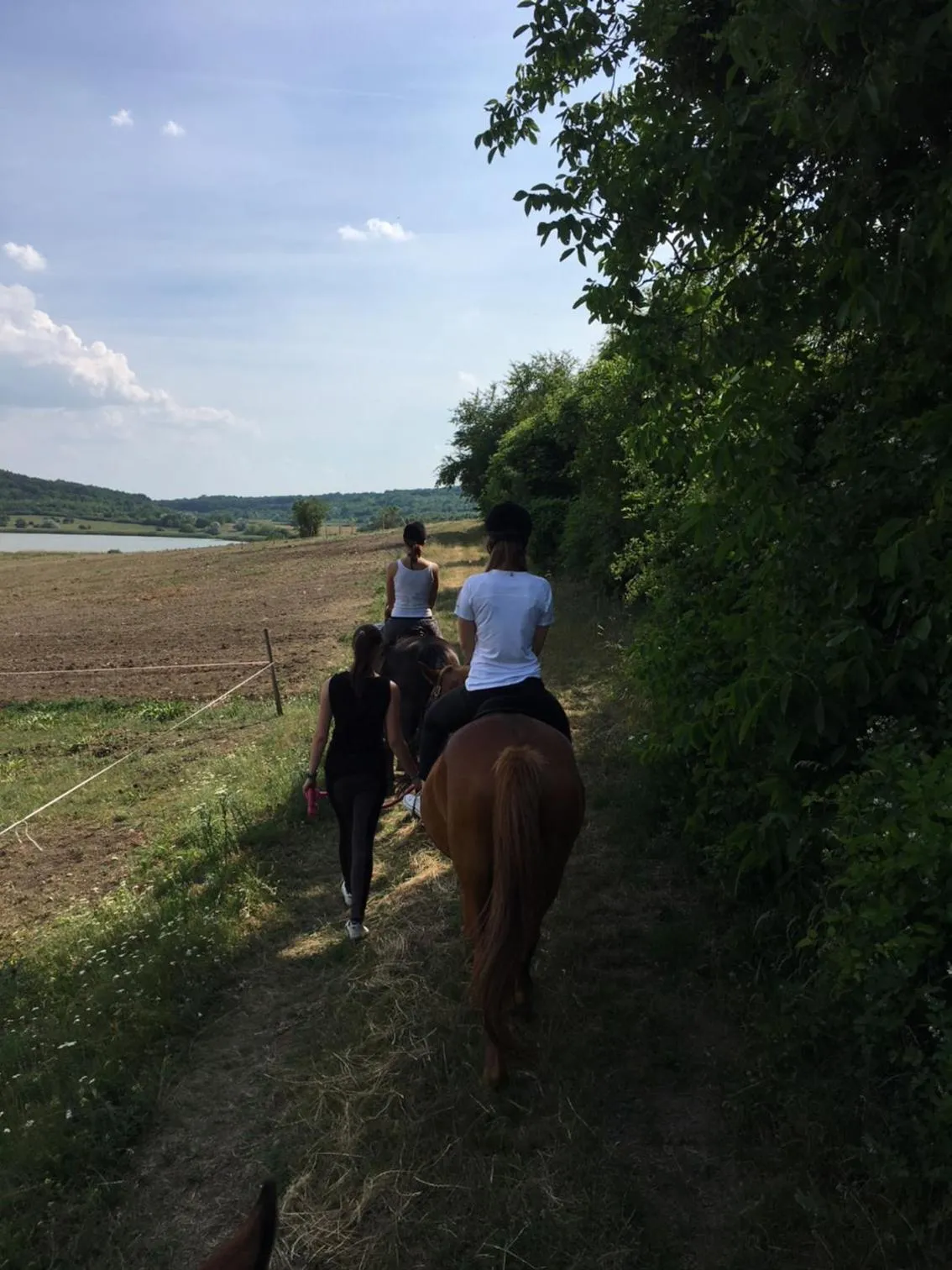 Off site in The Houses of History - anno 1830