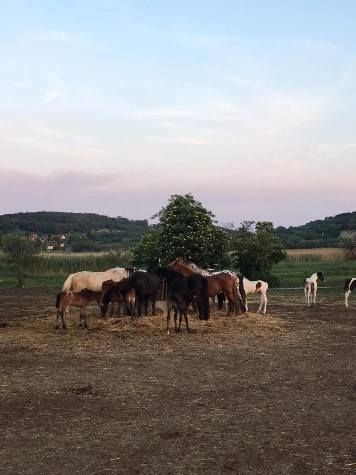 Off site in The Houses of History - anno 1830