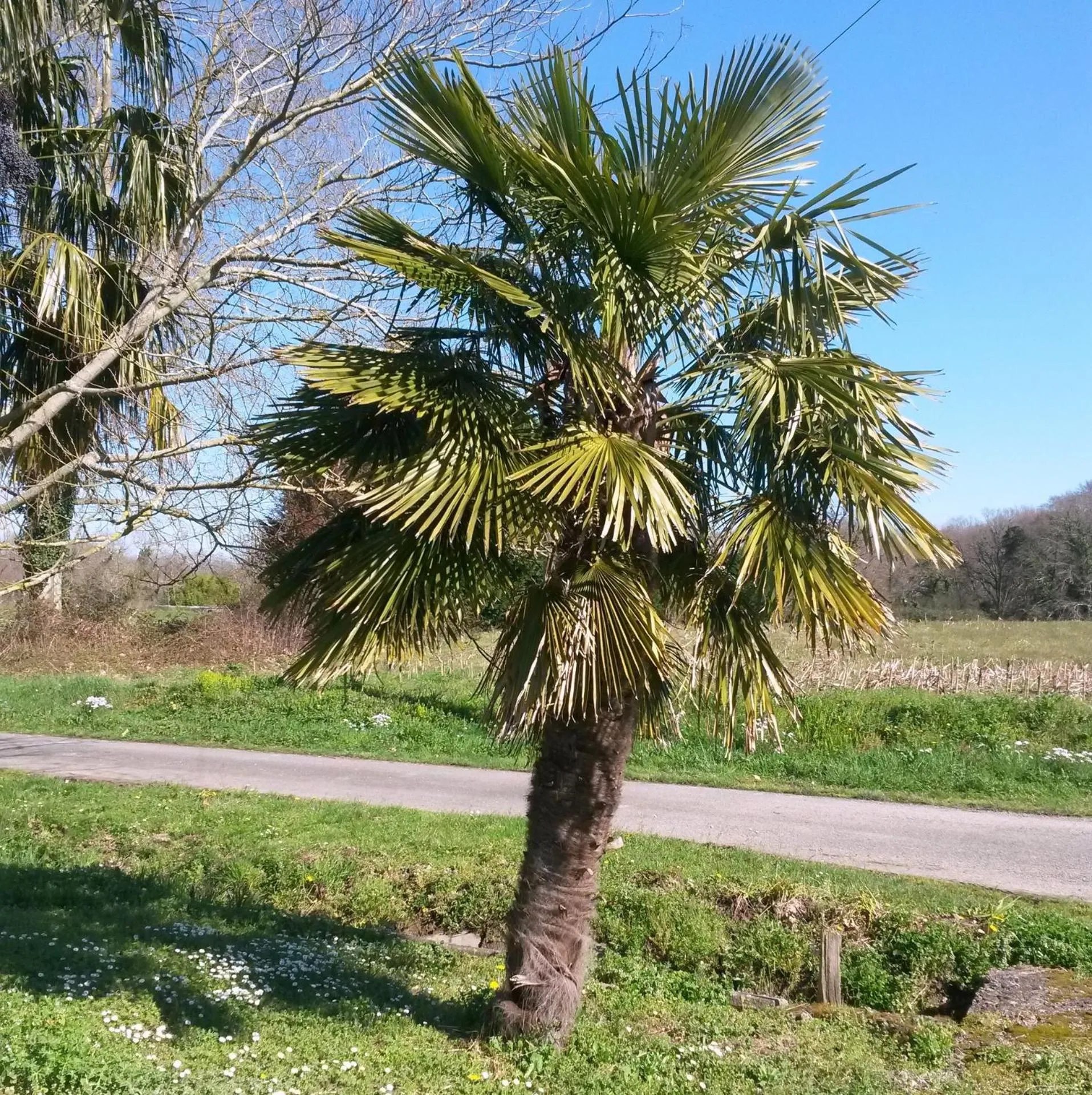 Property building in Ranch Bignaou