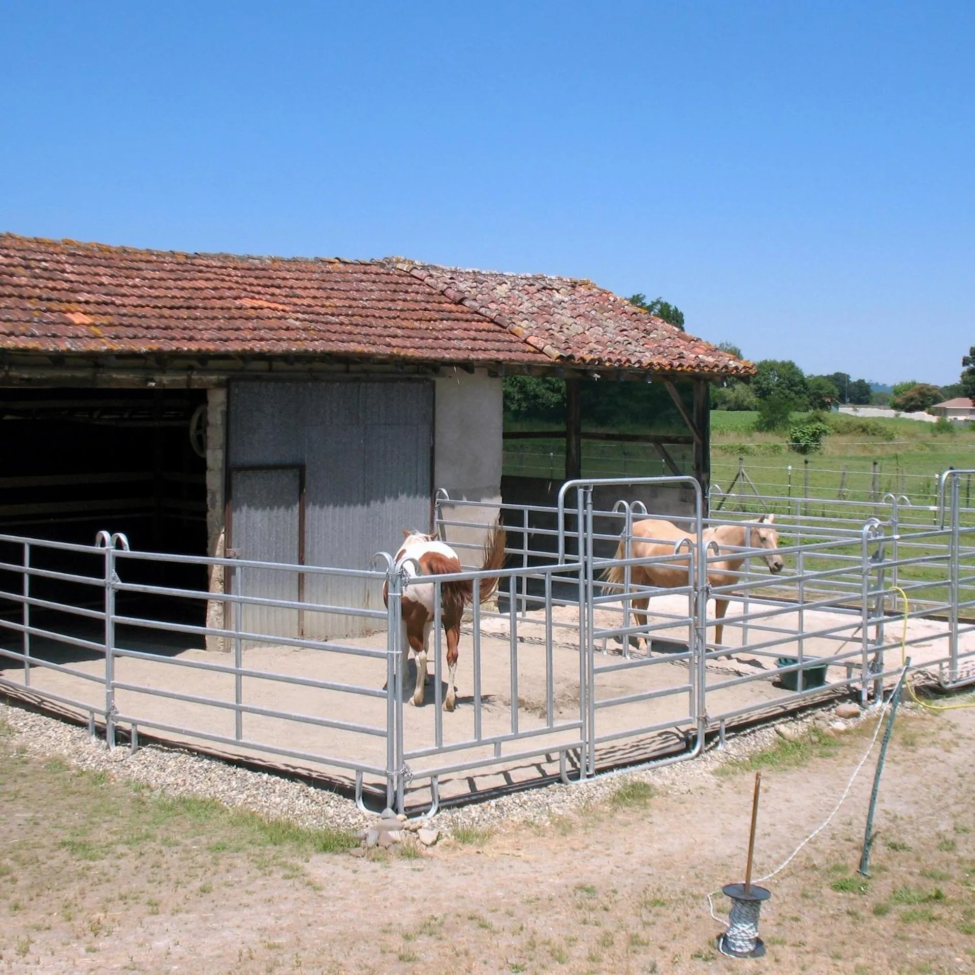 Animals in Ranch Bignaou