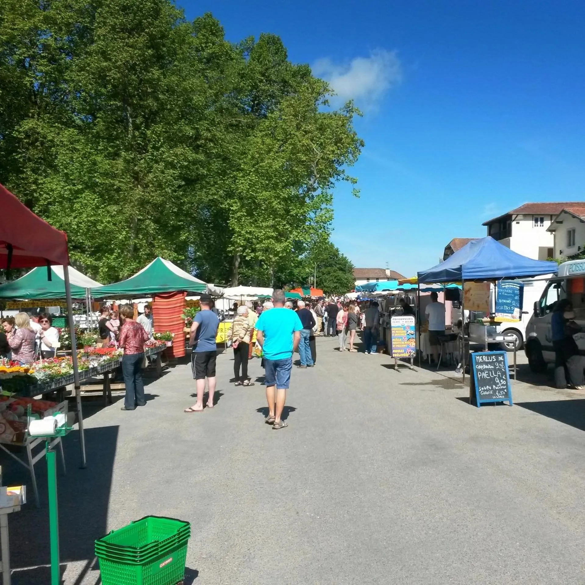 Shopping Area in Ranch Bignaou