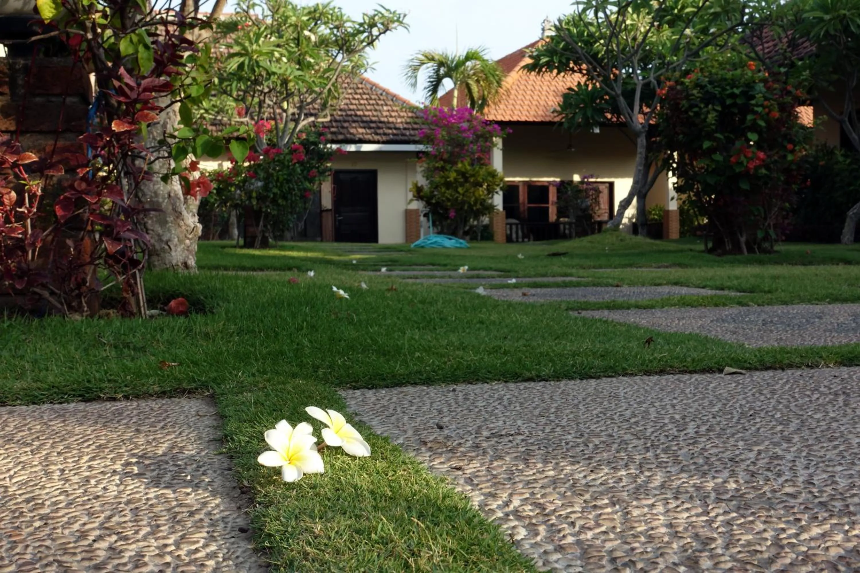 Natural landscape in Liberty Dive Resort