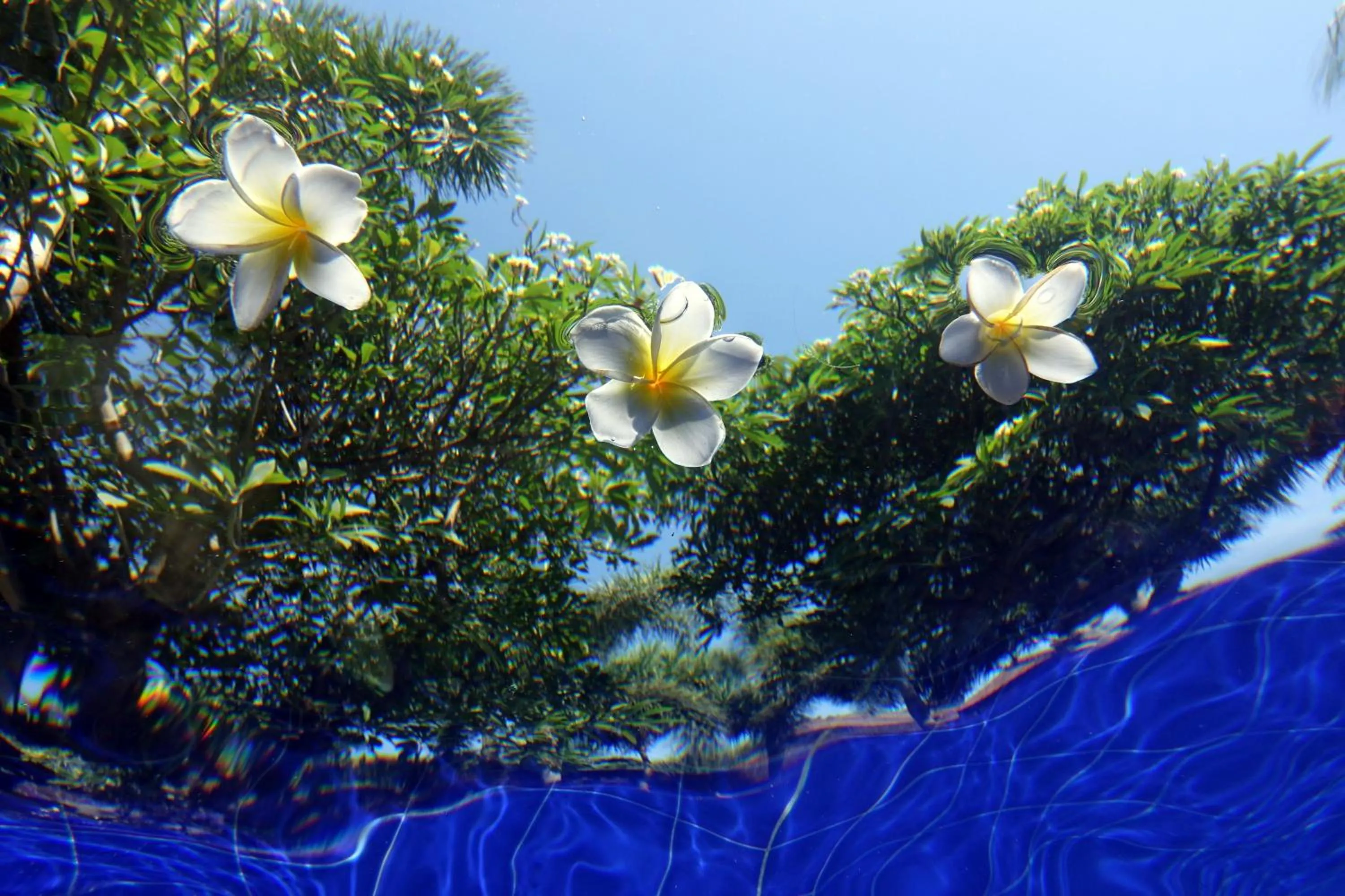 Day in Liberty Dive Resort