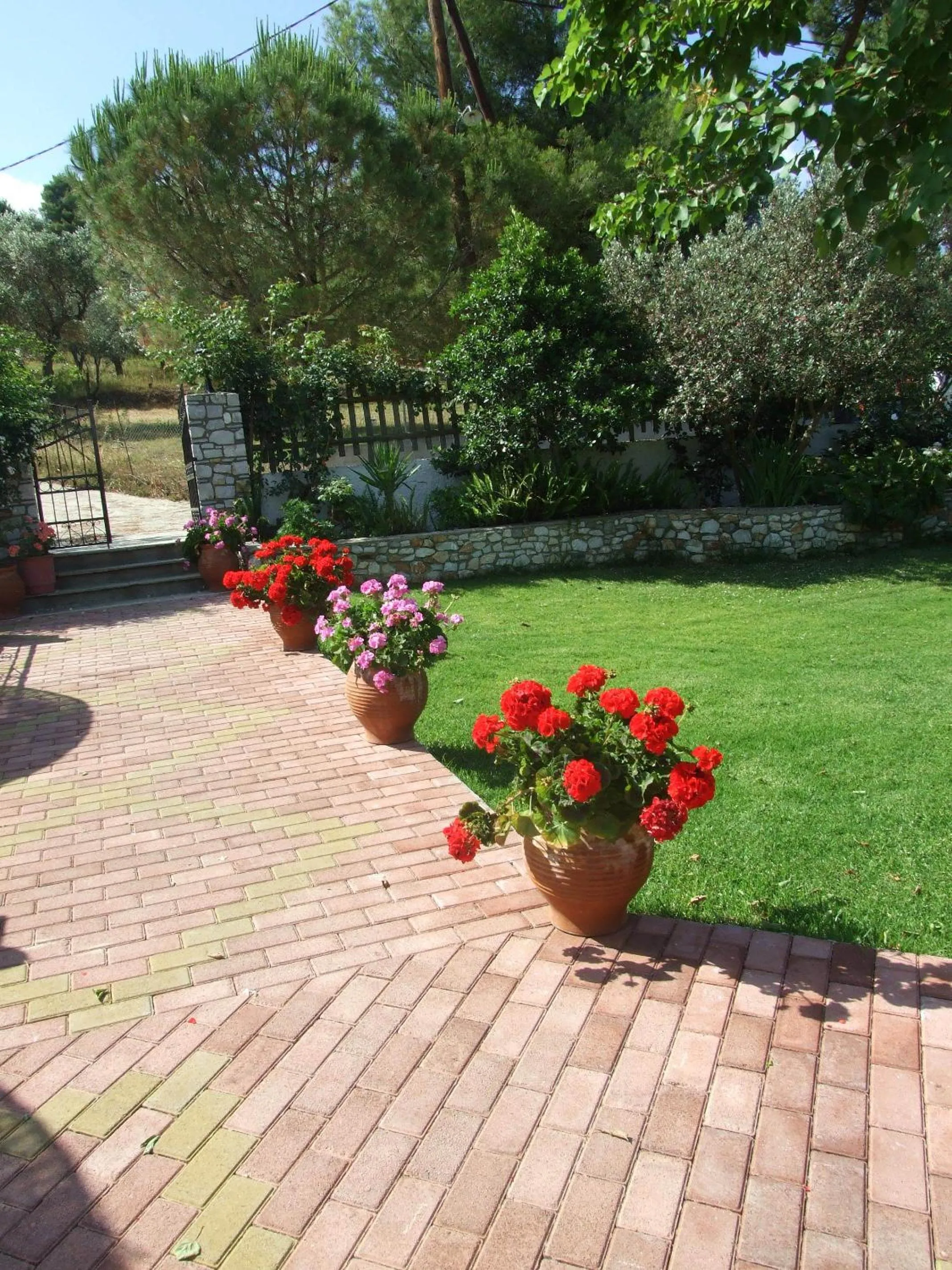 Patio in Skiathos Argento