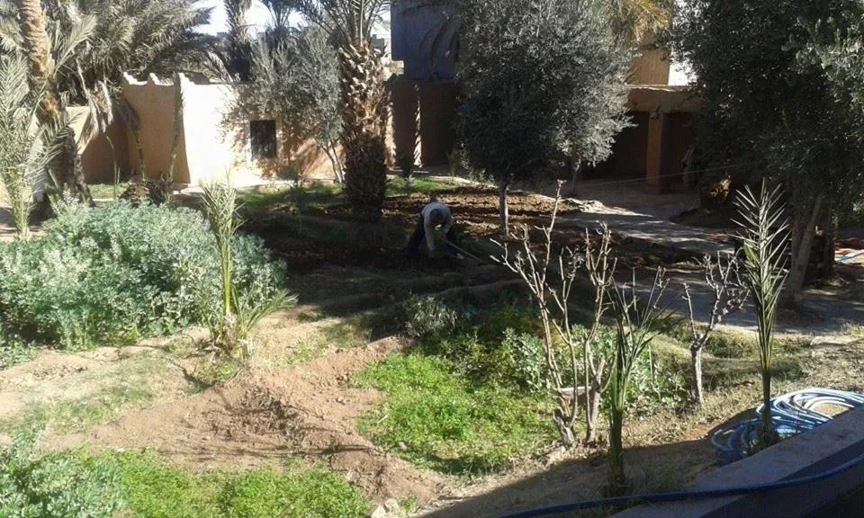 Spring in Gite Elkhorbat