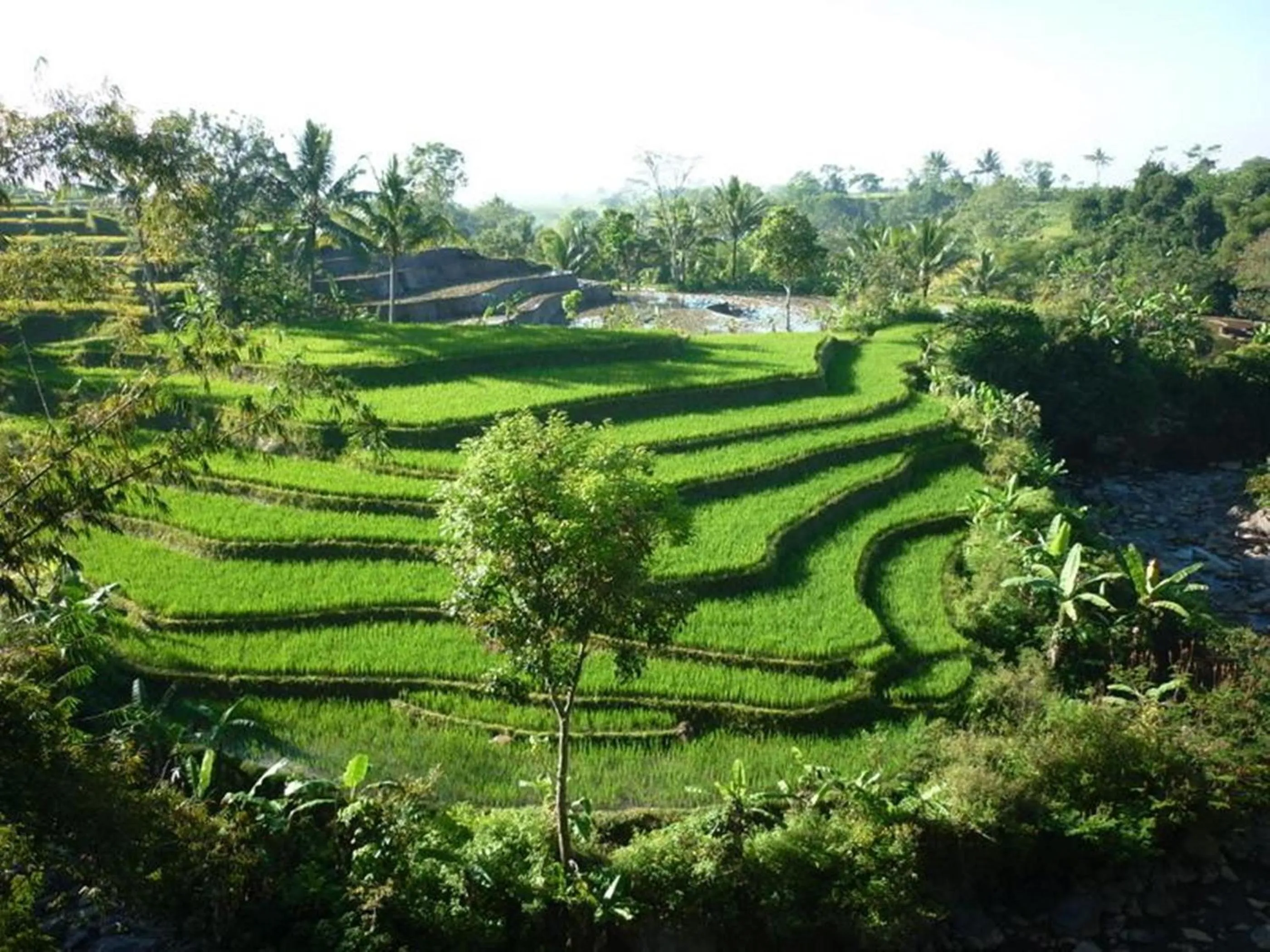 View (from property/room) in Villa Sumbing Indah