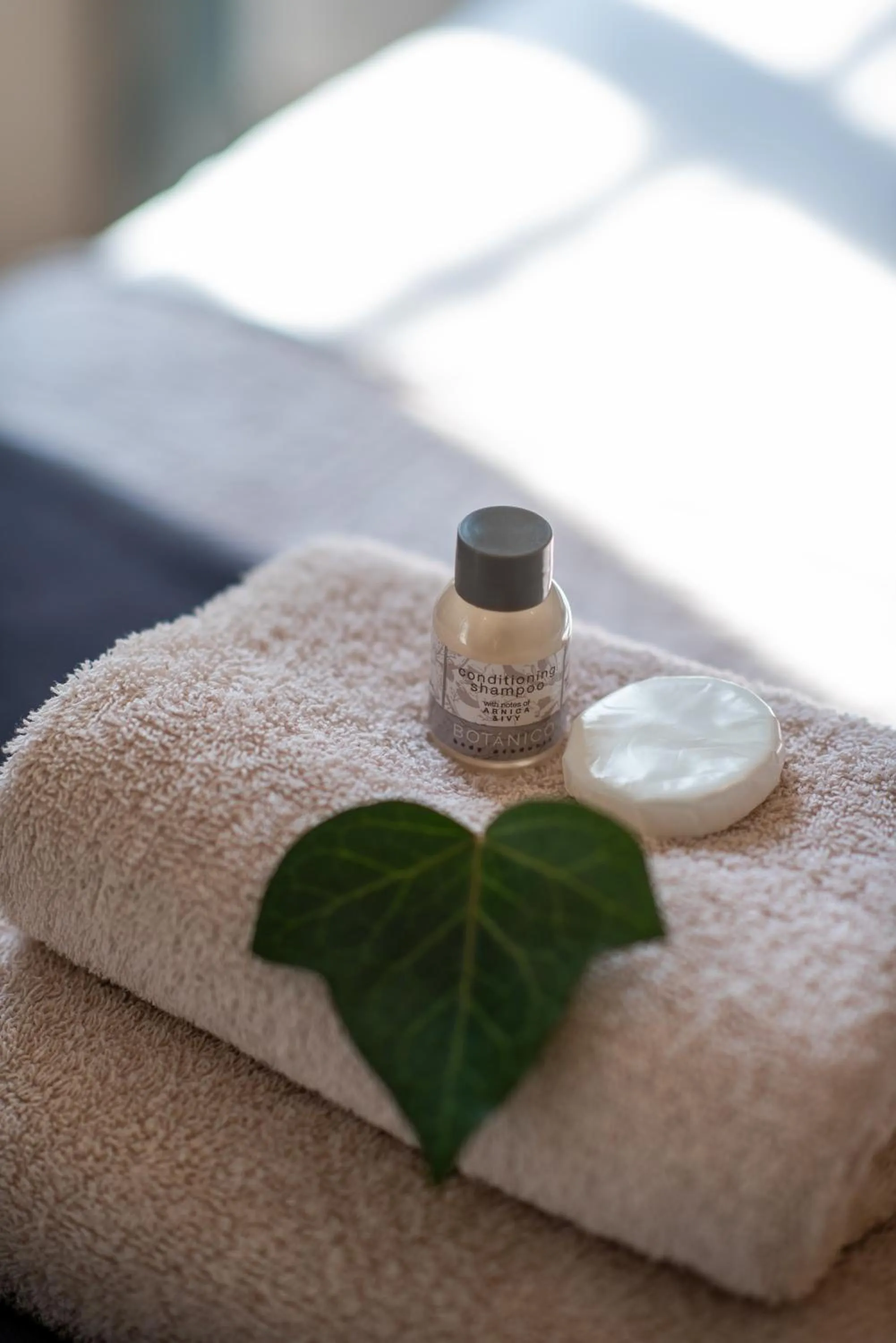 Other in 5th Avenue Gooseberry Guest House