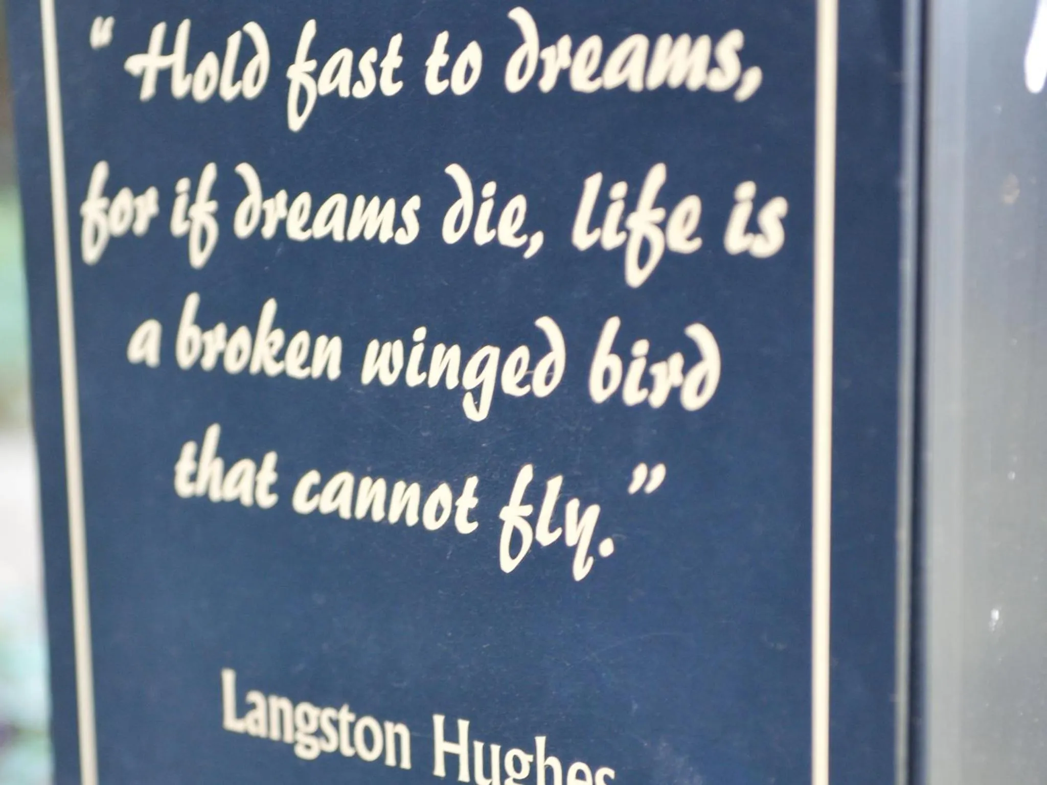 Garden in 5th Avenue Gooseberry Guest House