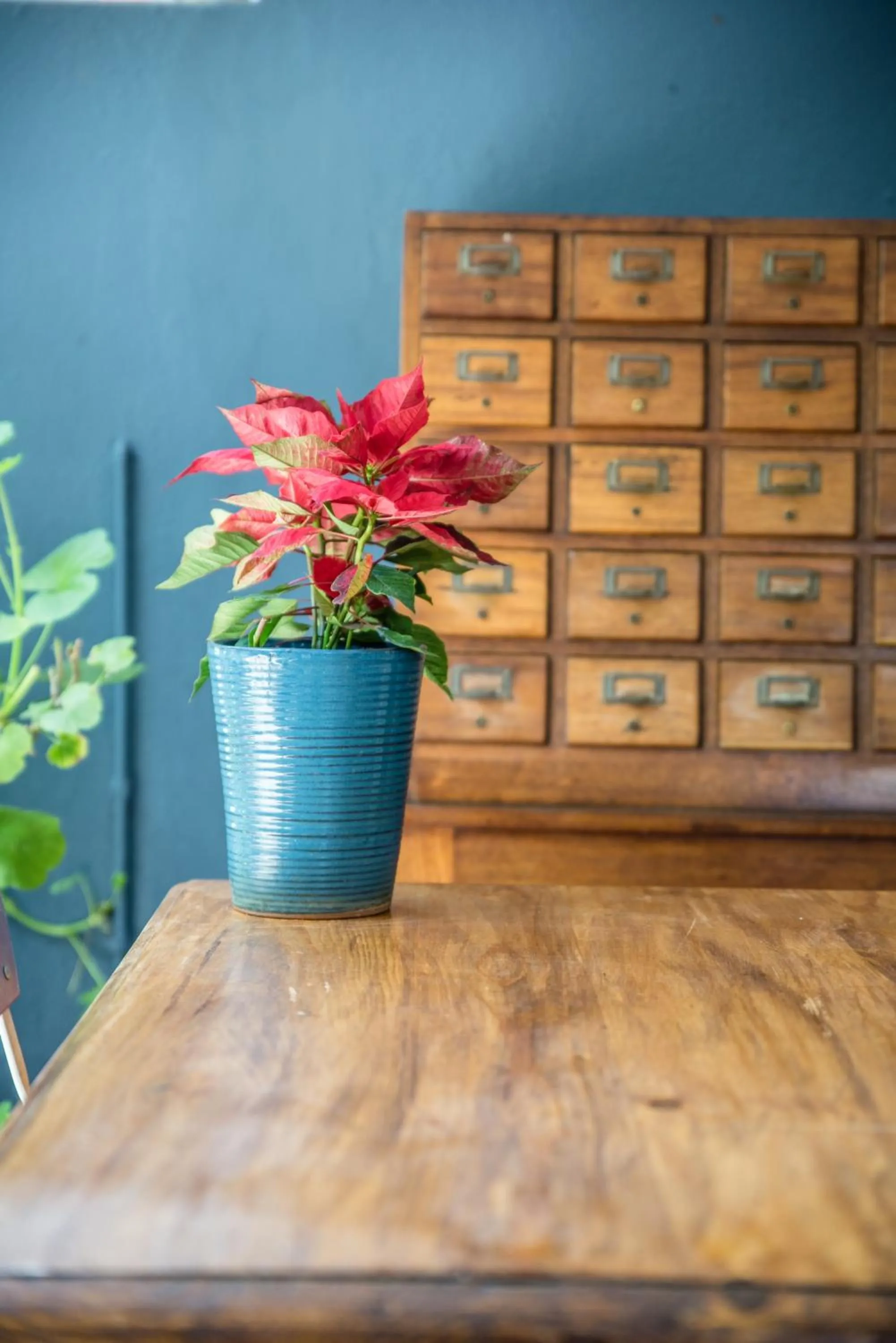 Decorative detail in 5th Avenue Gooseberry Guest House