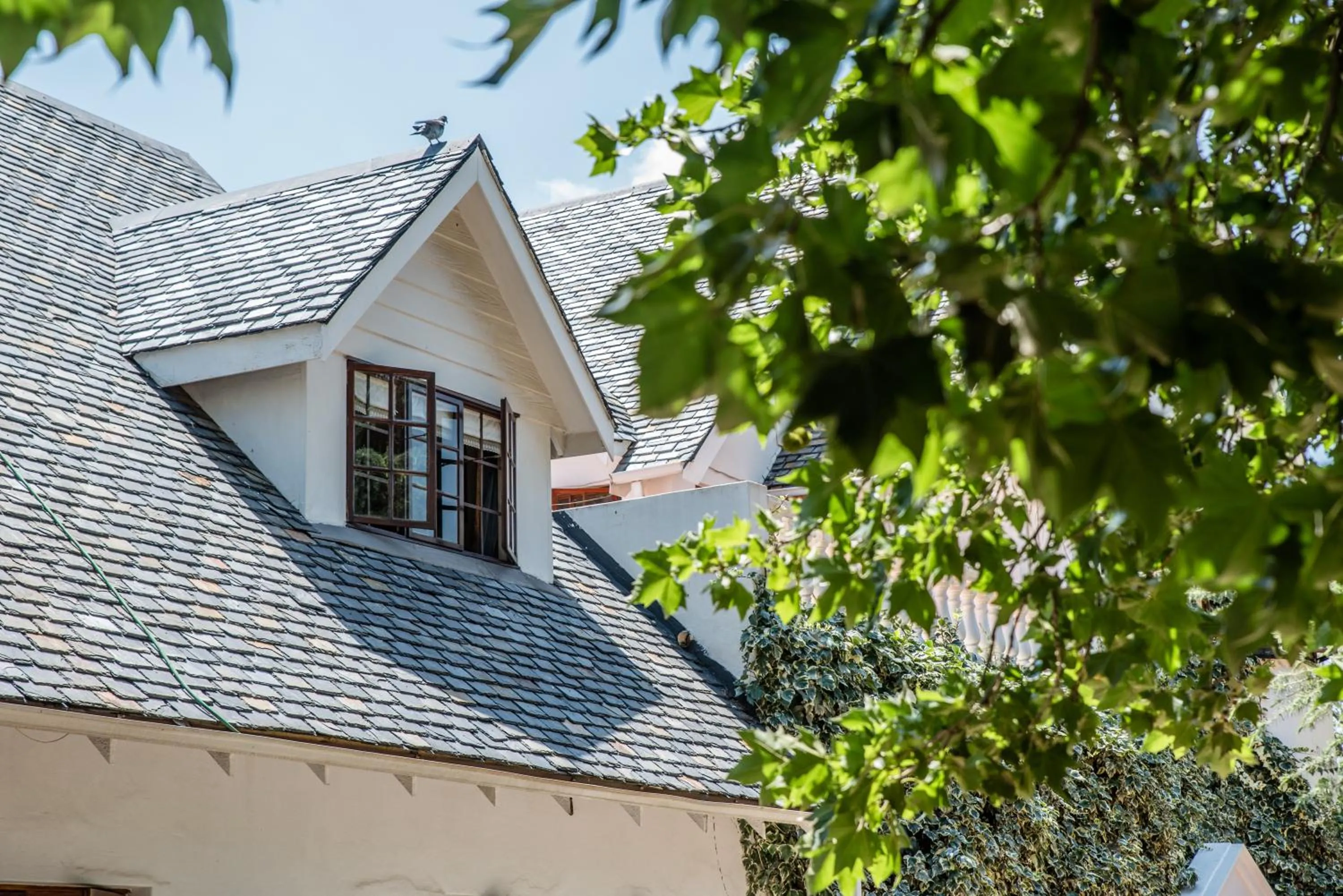 Property building in 5th Avenue Gooseberry Guest House