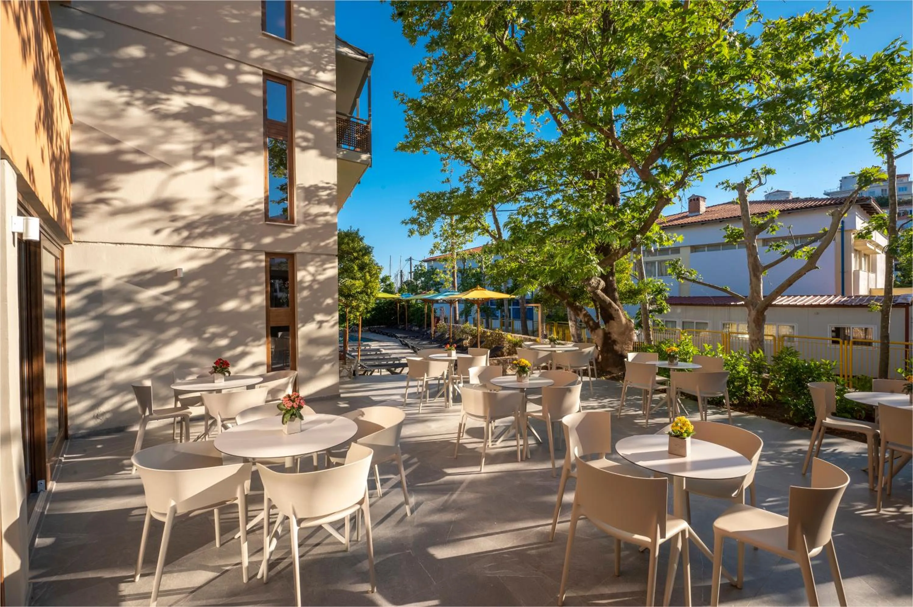 Lounge or bar in Alkyon