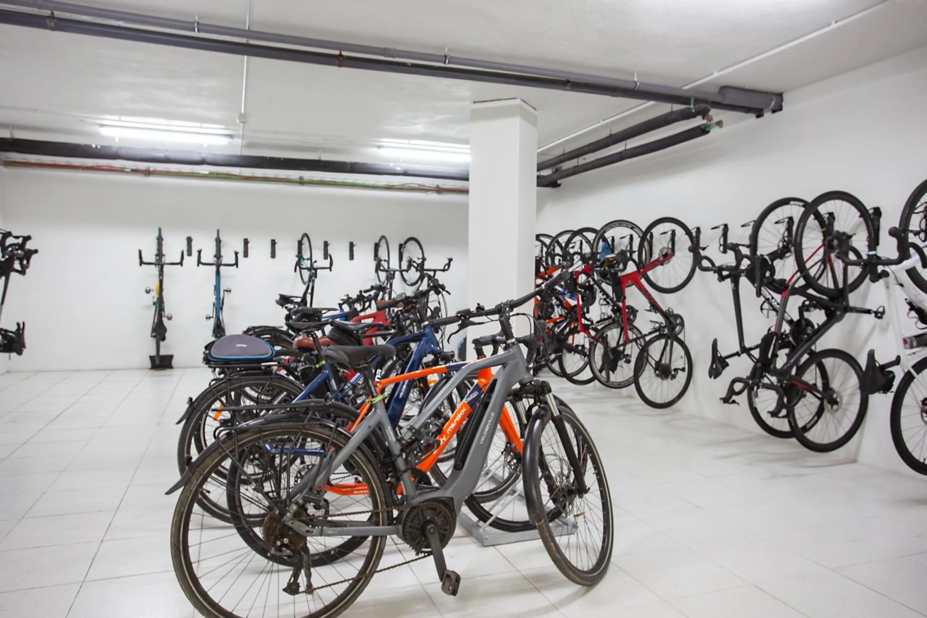 Activities in Hotel THB Gran Bahía