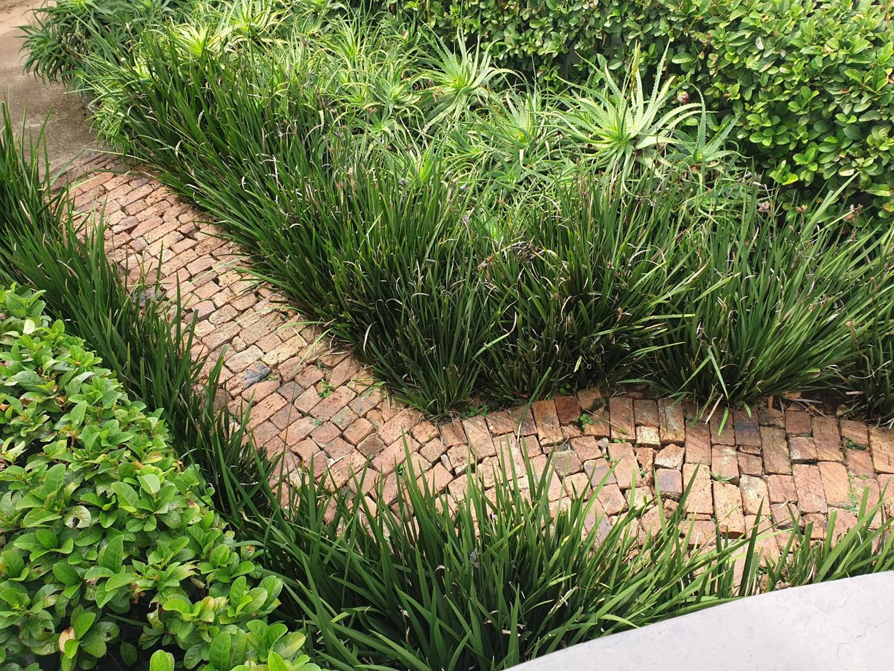 Property building in Motel Mi Pi Chi