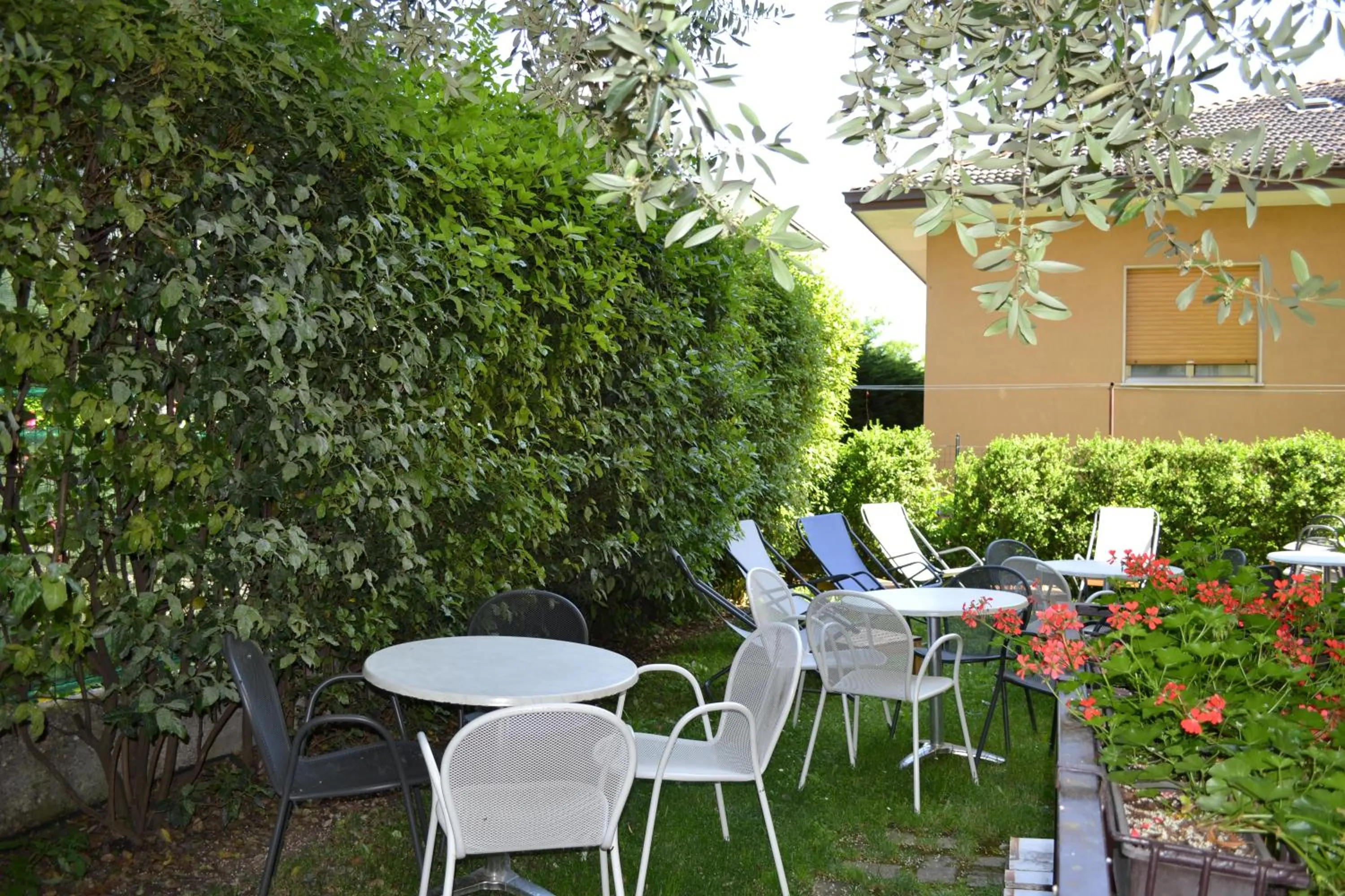 Garden in Hotel Villa Rina