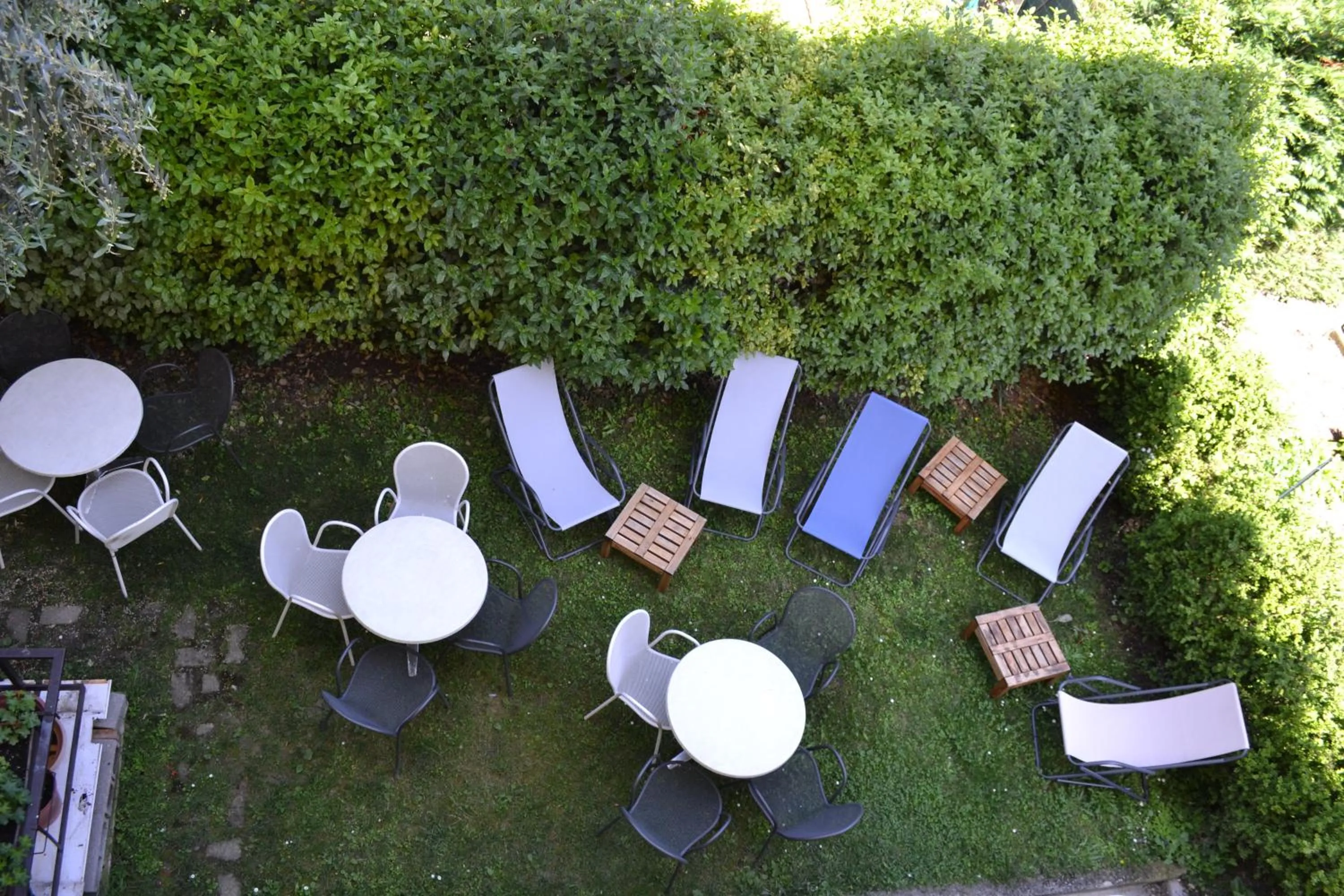 Garden in Hotel Villa Rina