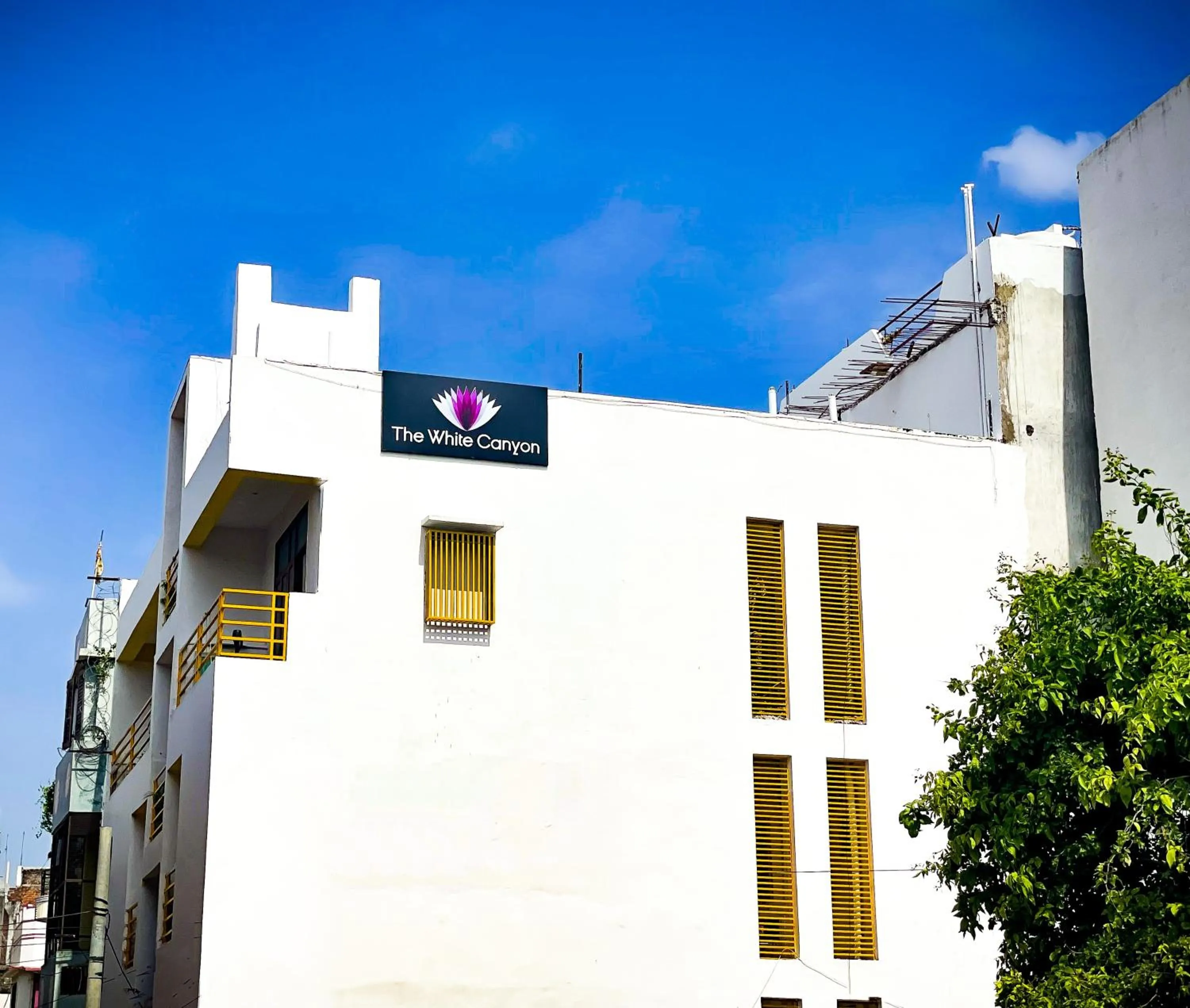 Property building in The White Canyon