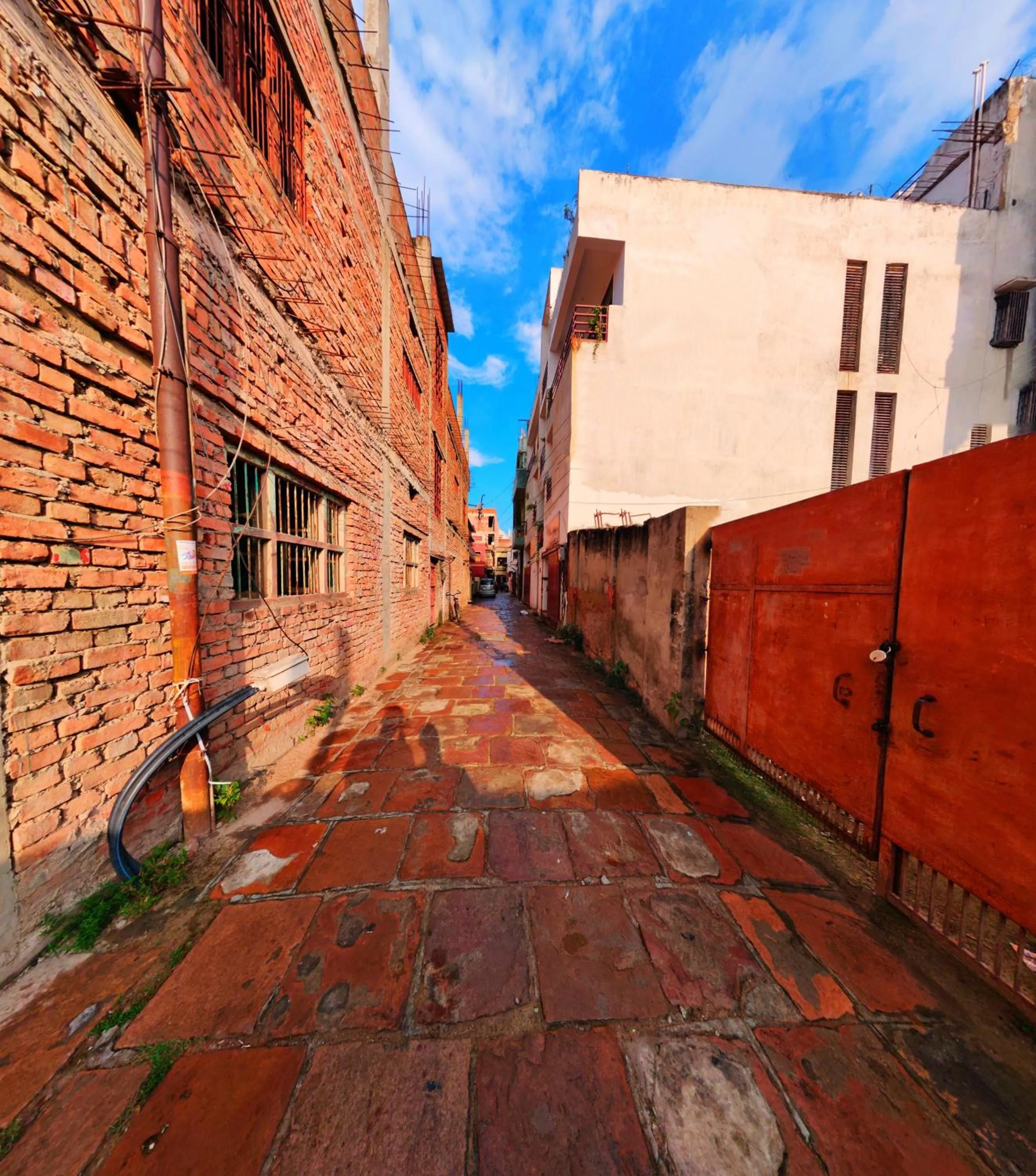 Day in The White Canyon