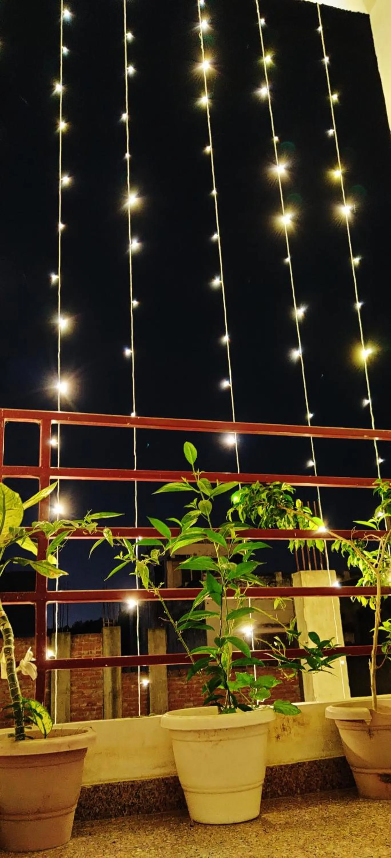 Lobby or reception in The White Canyon