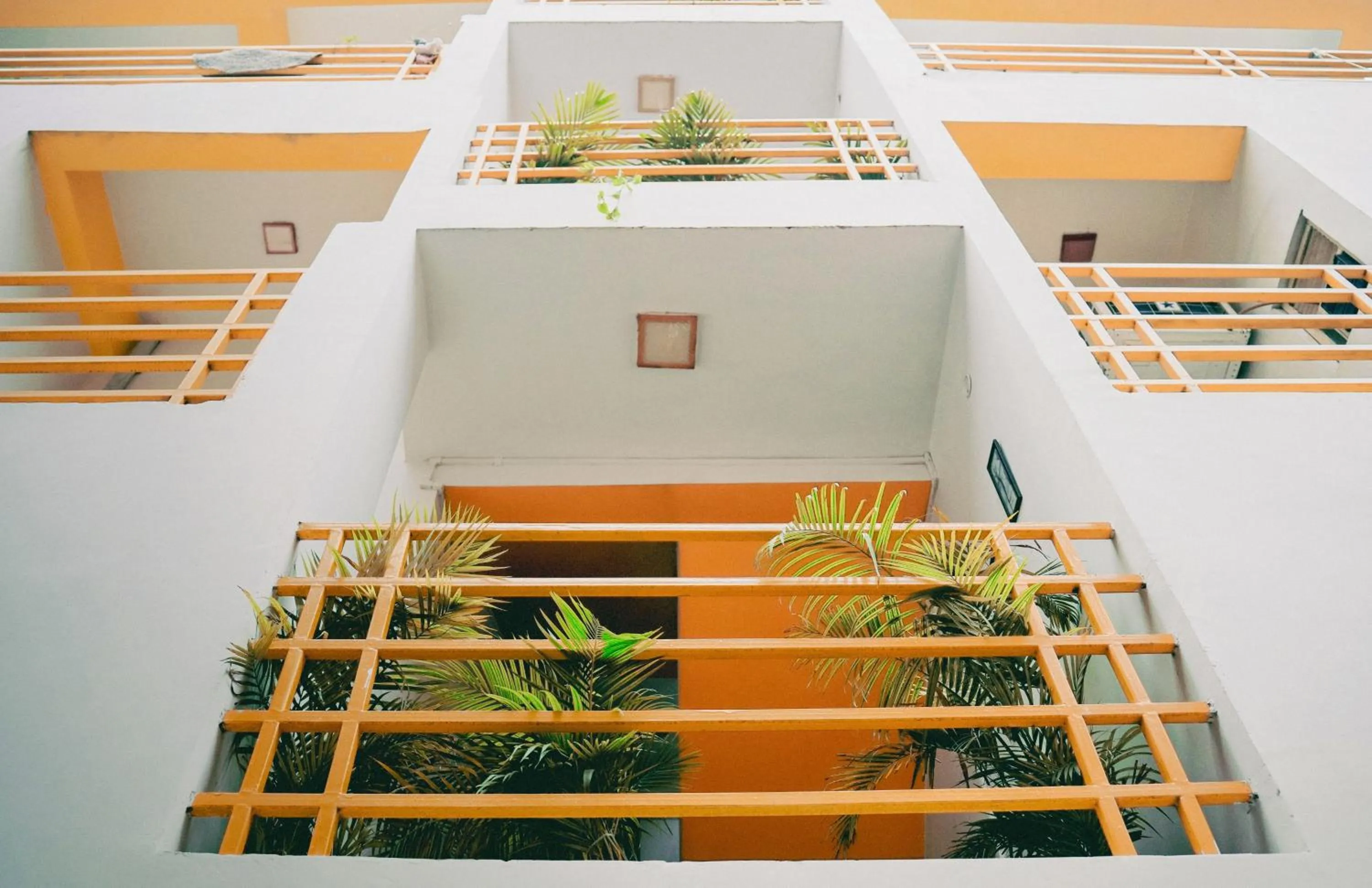 Day in The White Canyon