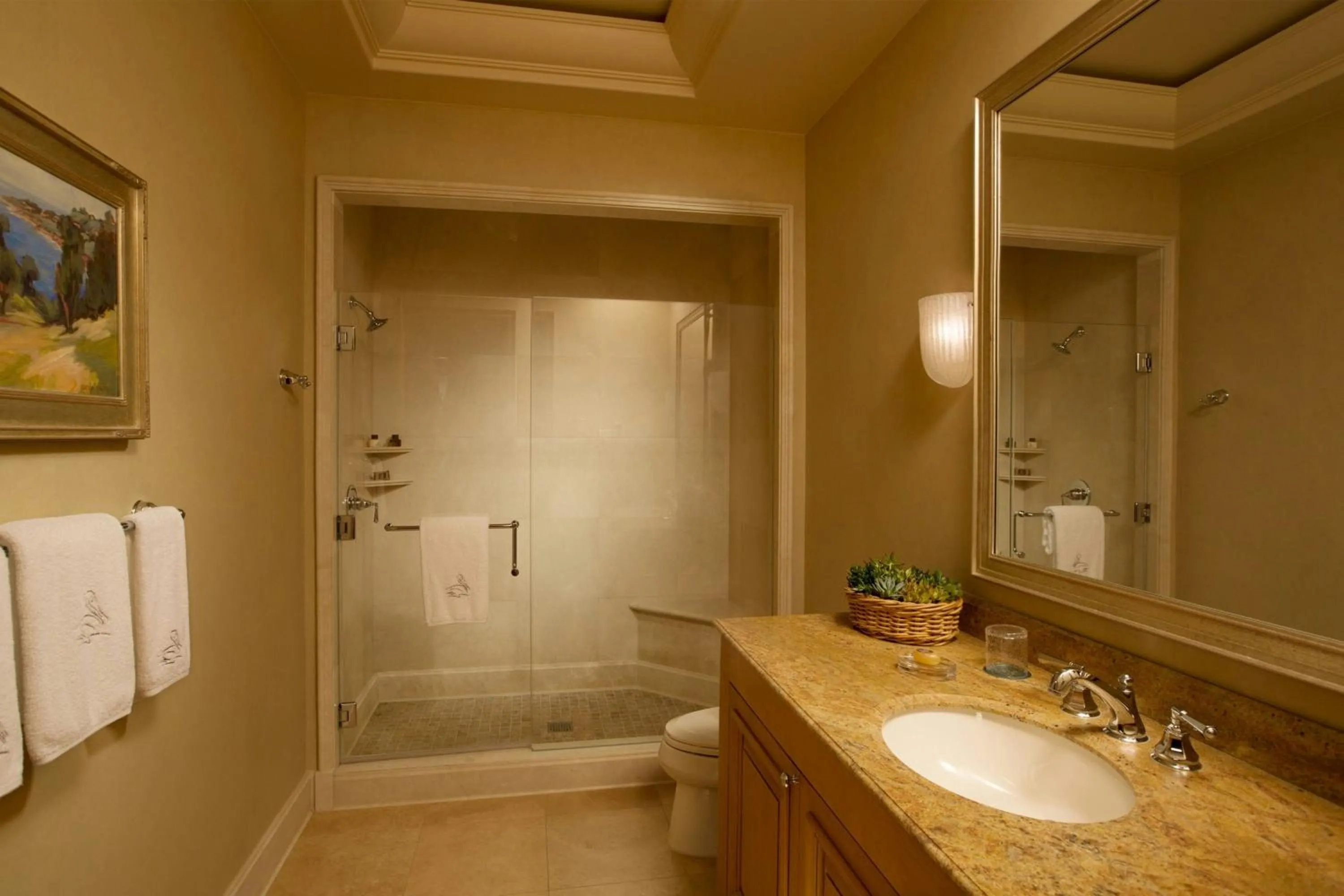 Bathroom in The Resort at Pelican Hill