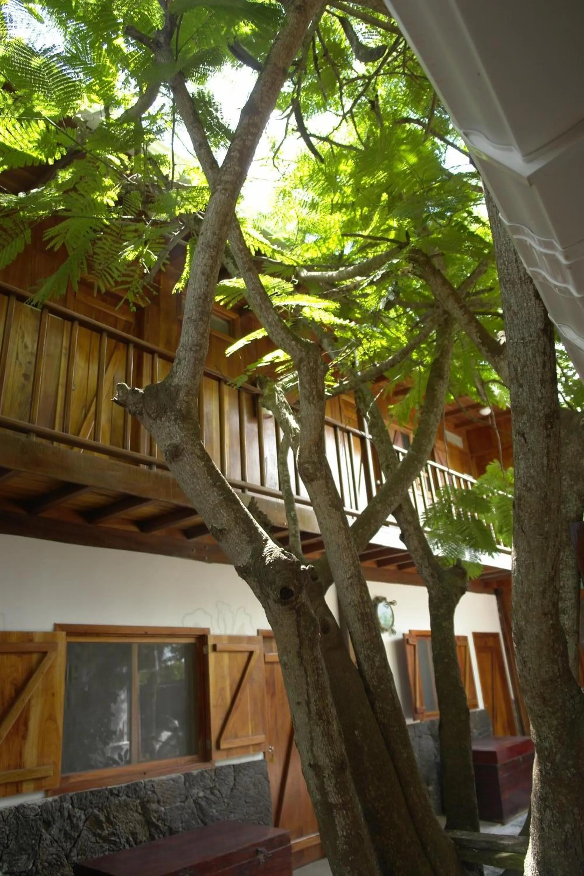 Patio in The Wooden House Hotel