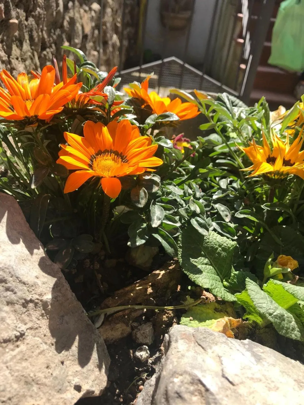 Decorative detail in Centro Storico