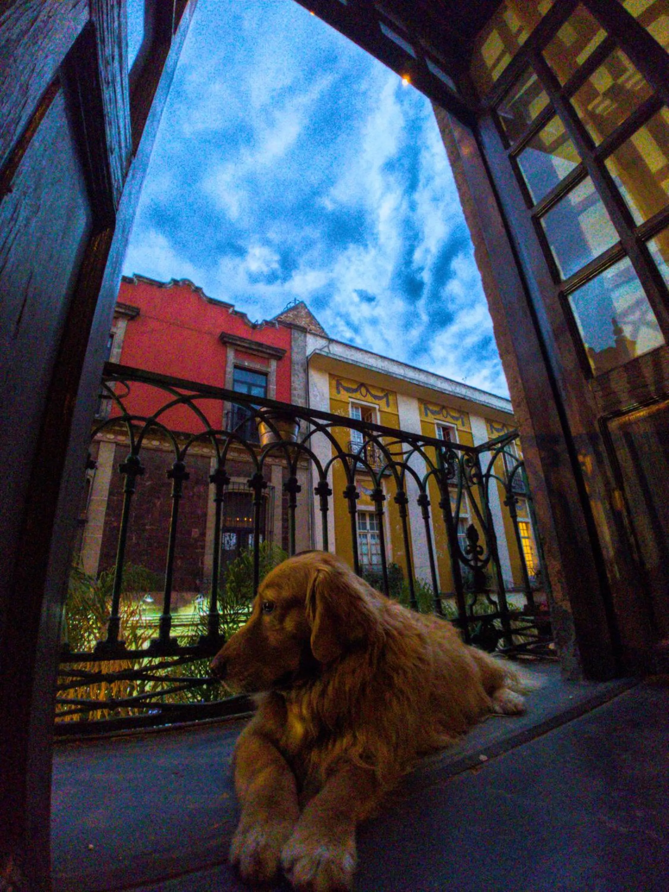 Hostal Regina Down Town Mexico City