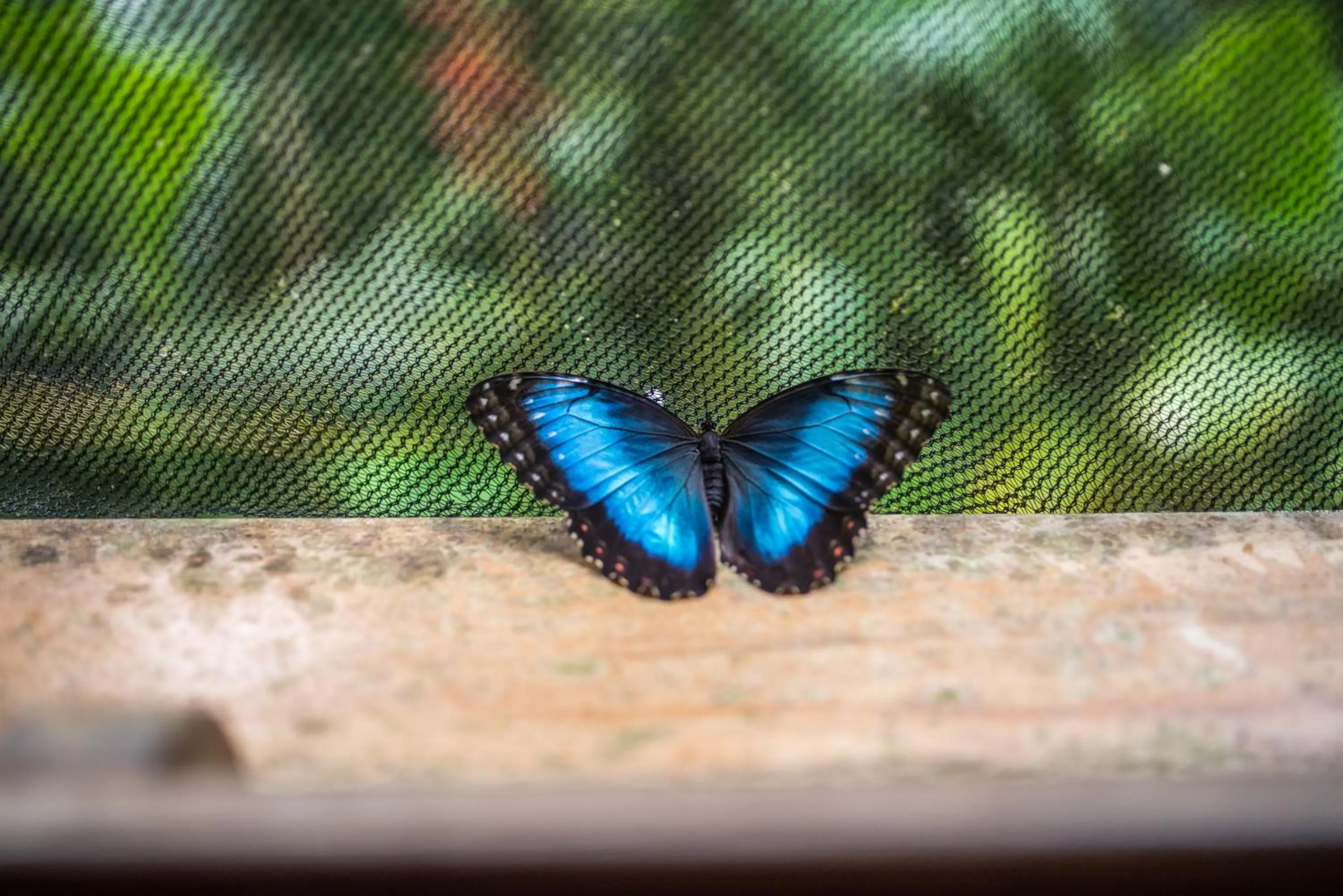 Natural landscape in Si Como No Resort & Wildlife Refuge