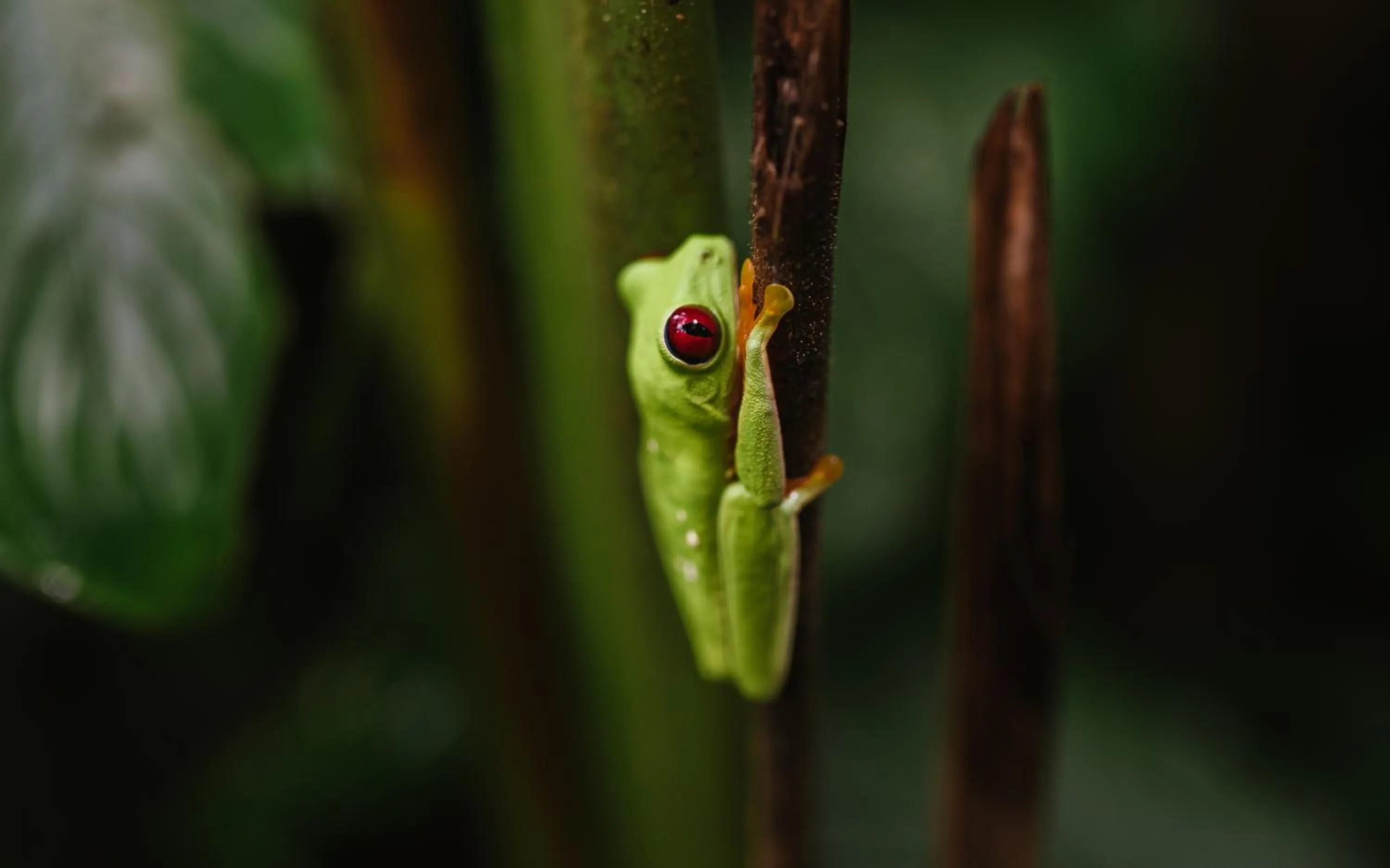 Natural landscape in Si Como No Resort & Wildlife Refuge